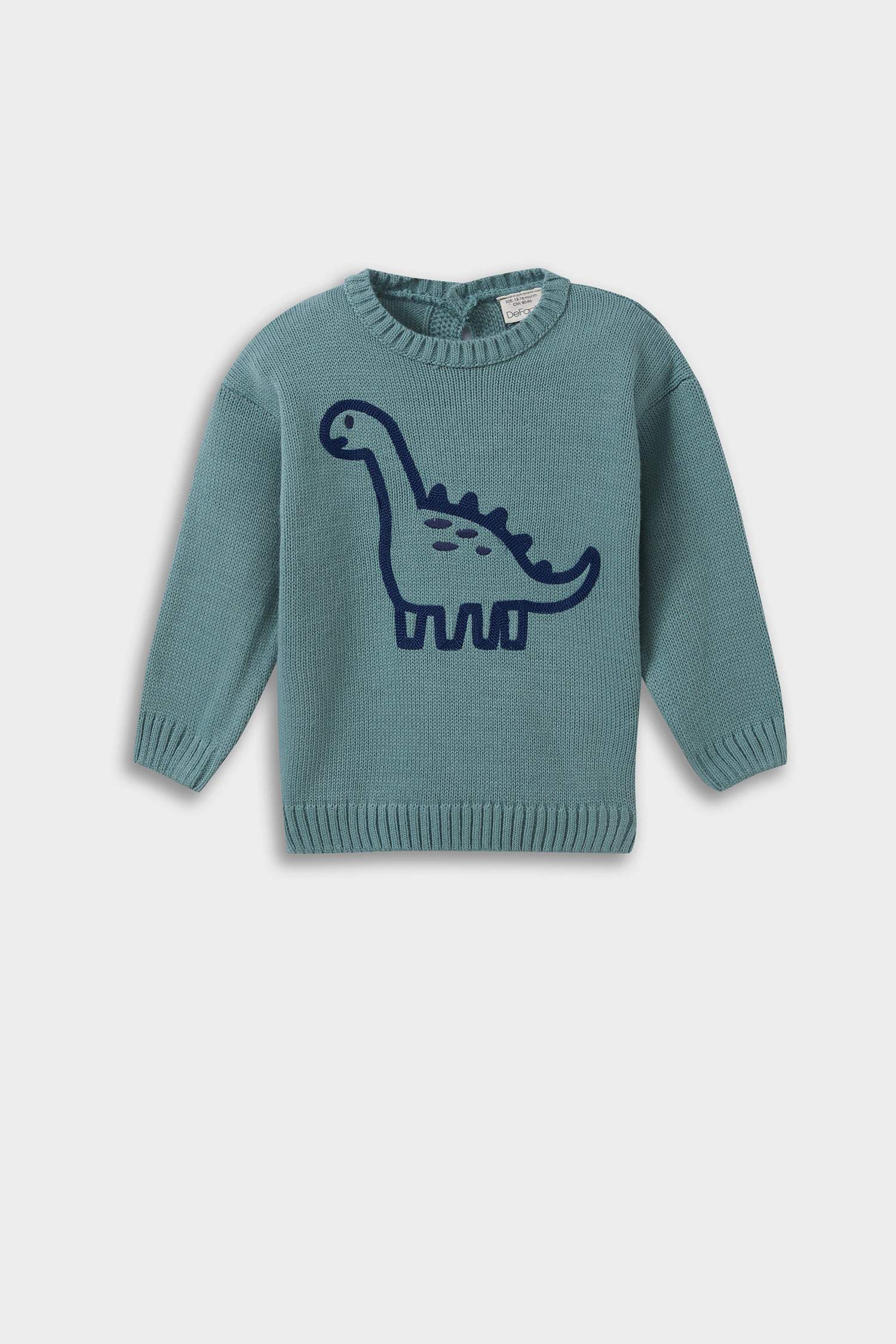 Baby Boy Regular Fit Pullover