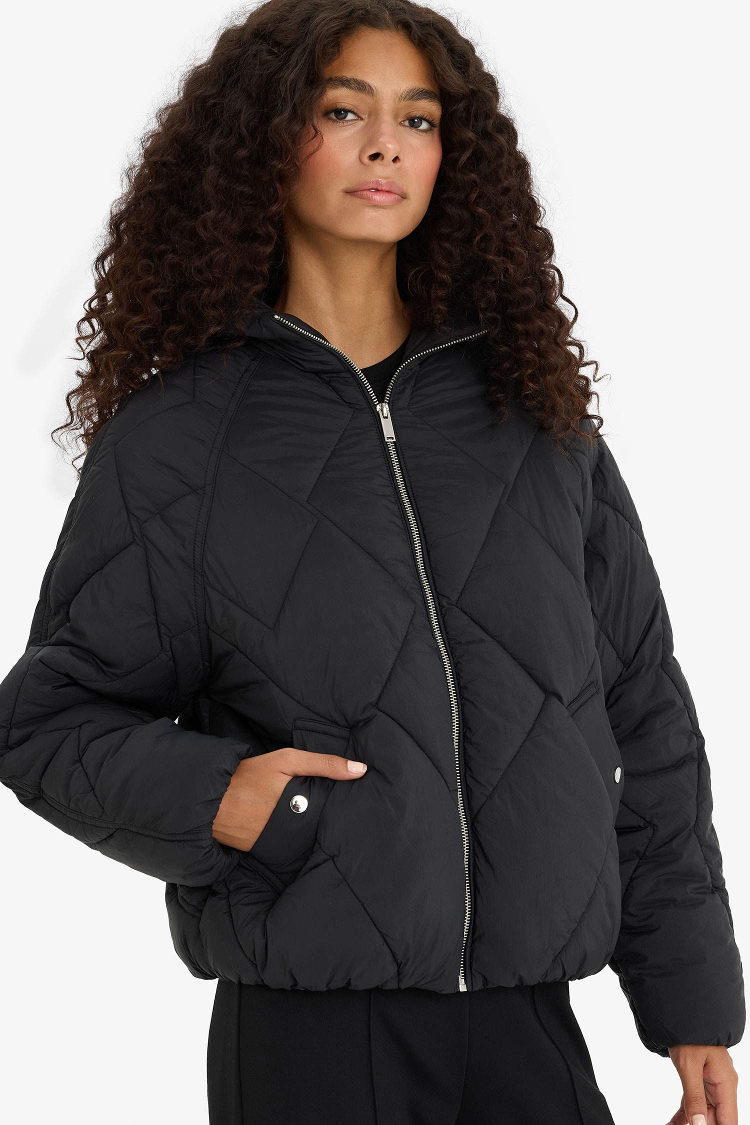 Waterproof Regular Fit Puffer Jacket