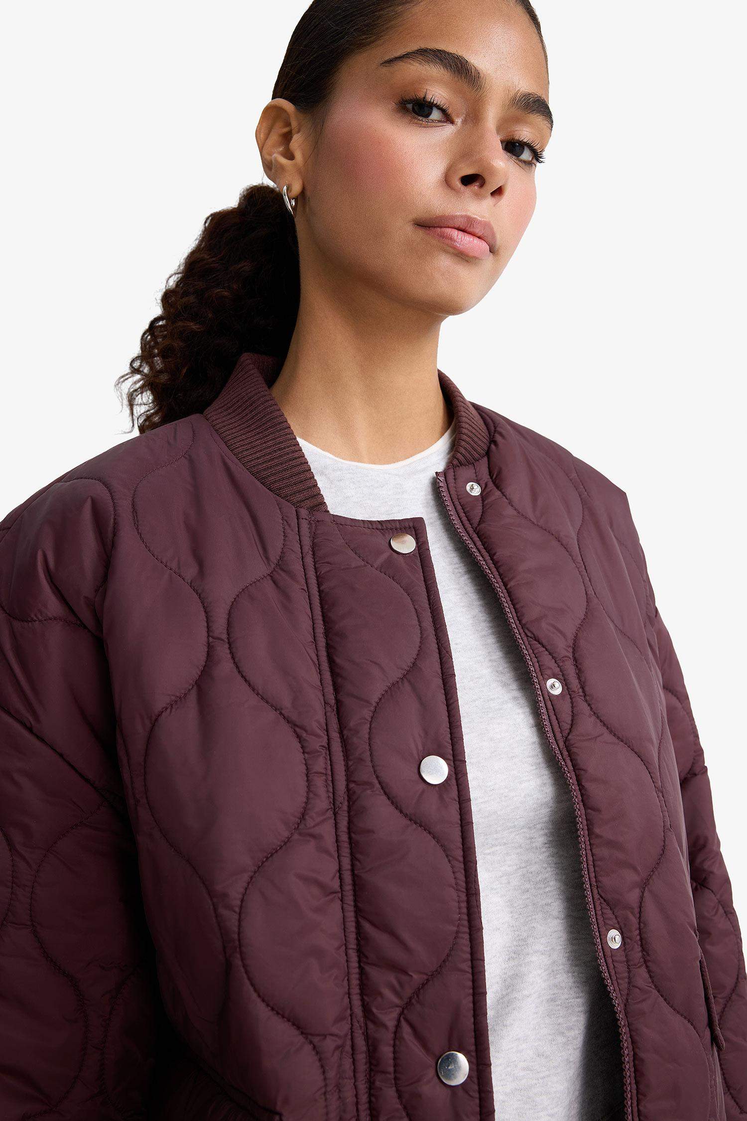 Su Geçirmez Regular Fit Çıtçıtlı Fermuarlı Kapitoneli Mont