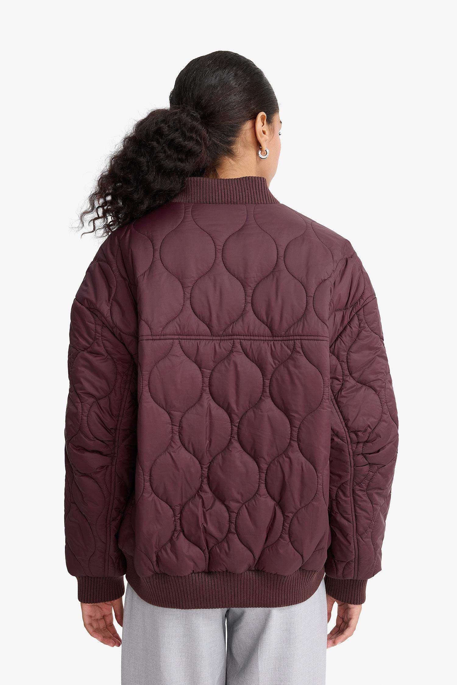 Su Geçirmez Regular Fit Çıtçıtlı Fermuarlı Kapitoneli Mont