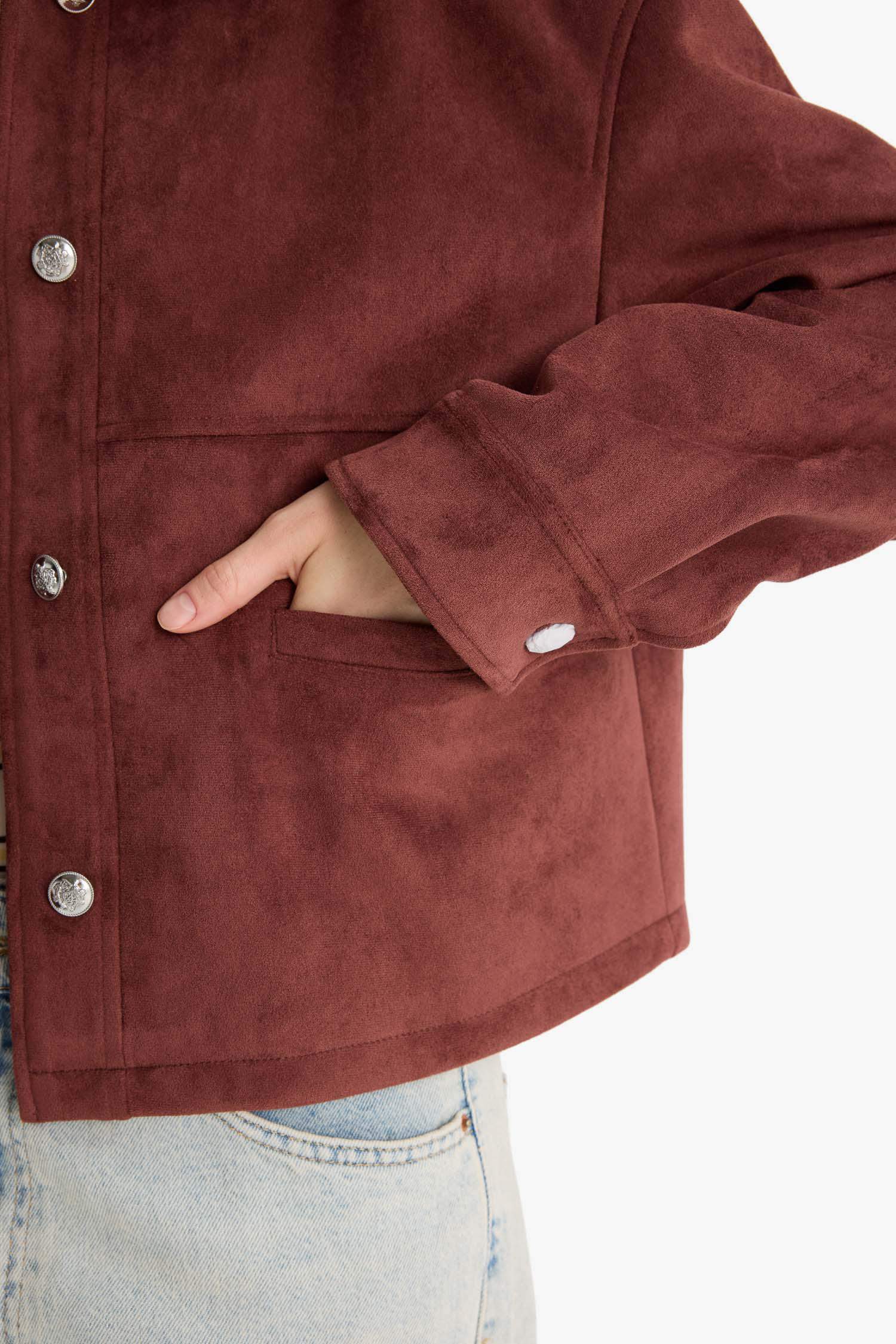 Regular Fit Polo Yaka Süet Mont