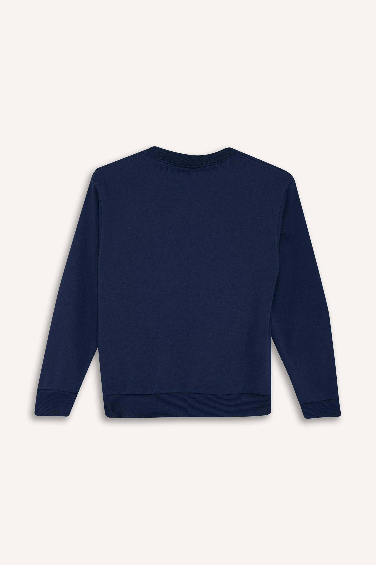 Boy Regular Fit Crew Neck Sweatshirt
