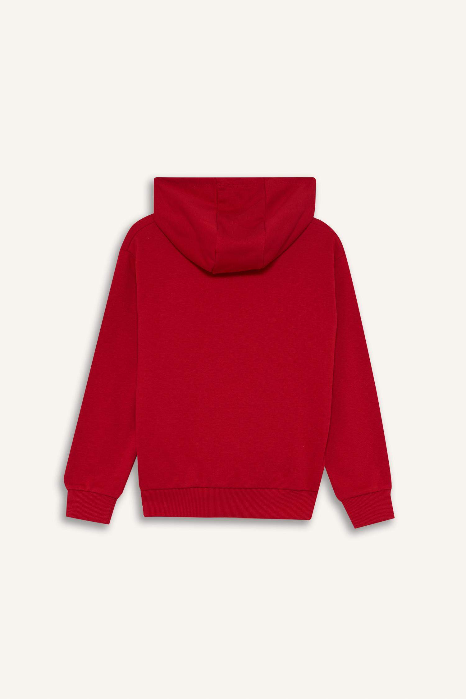 Boy Hooded Printed Sweatshirt