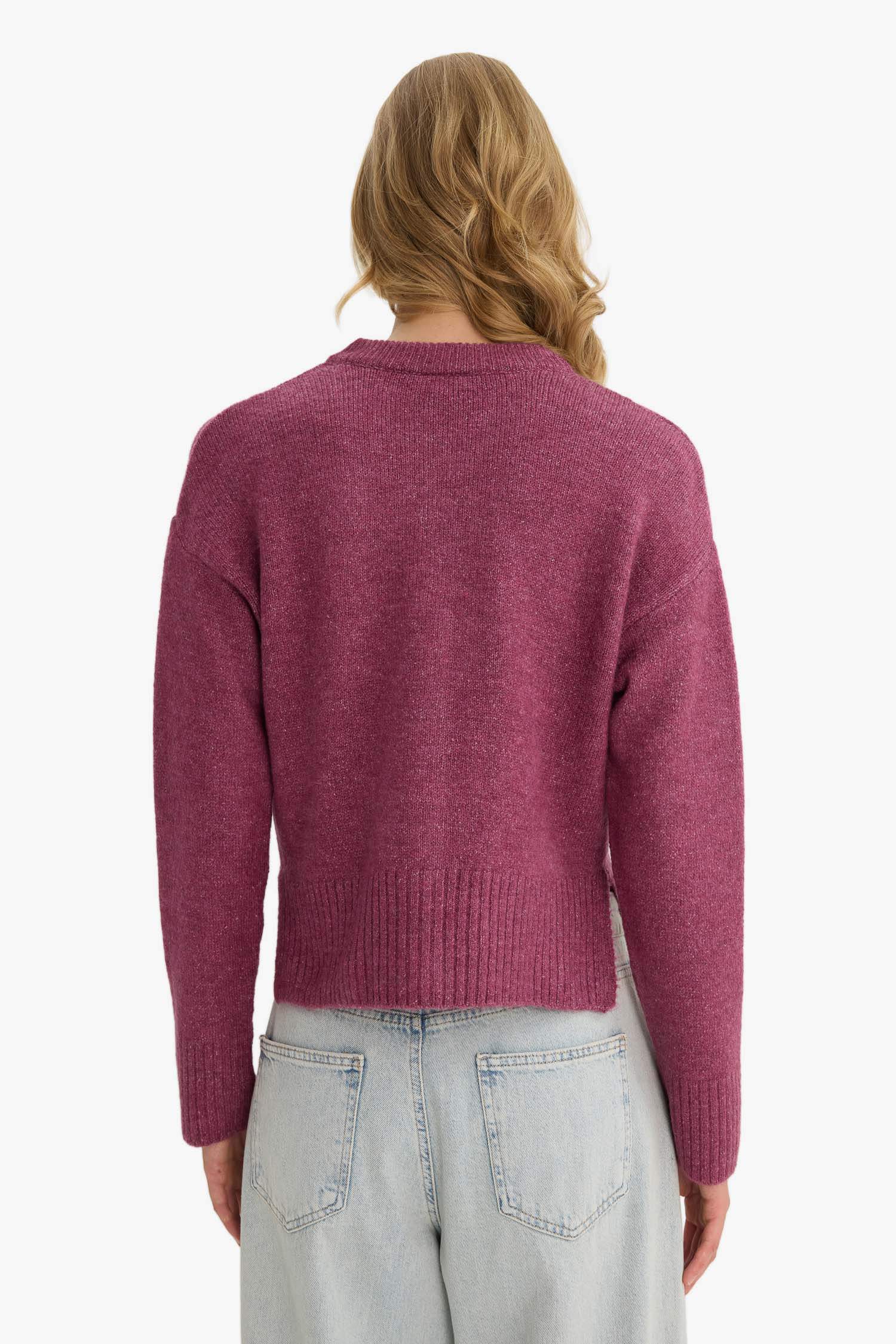 Regular Fit Bisiklet Yaka Düğmeli Triko Hırka