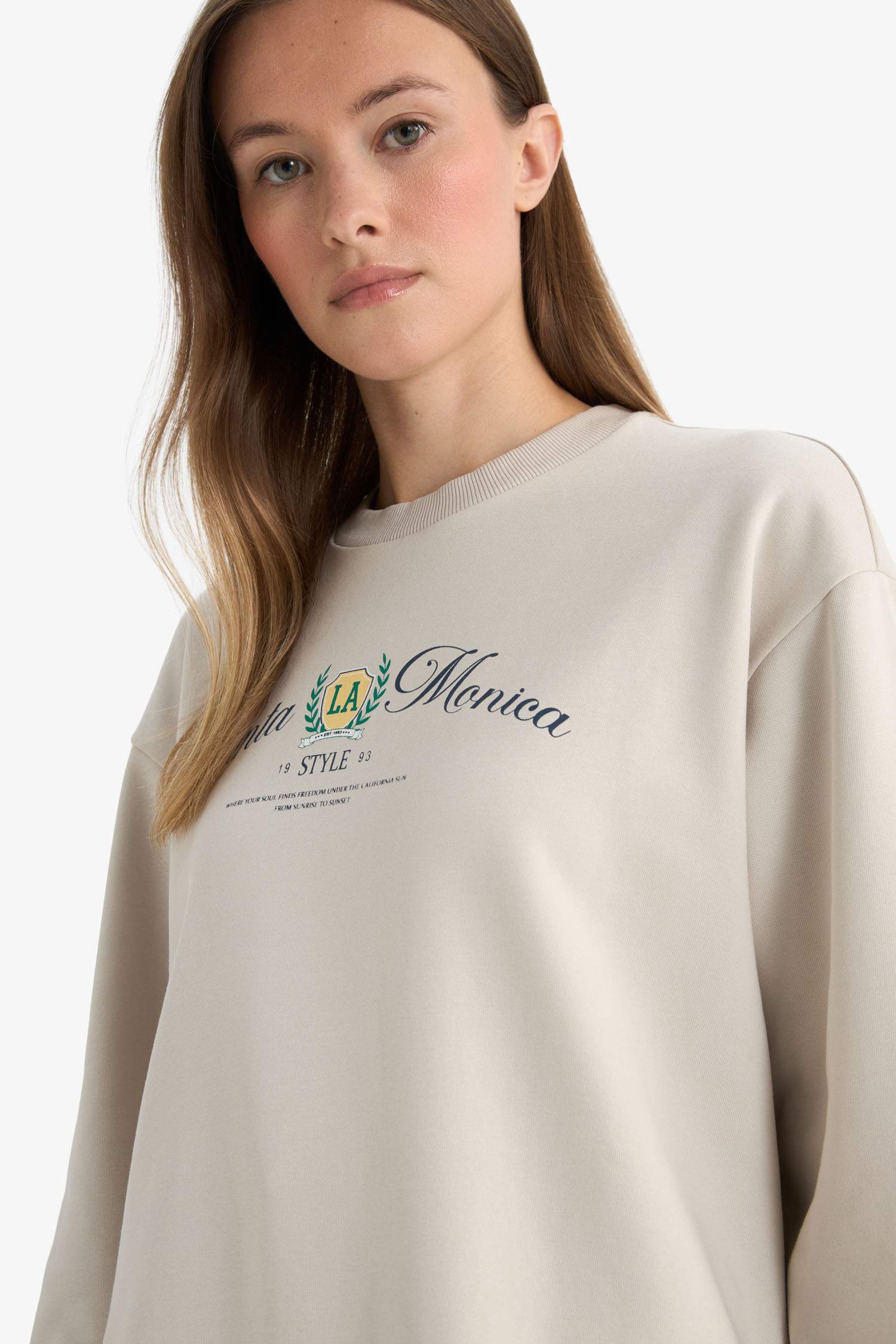 Regular Fit Crew Neck Printed Sweat Tunic