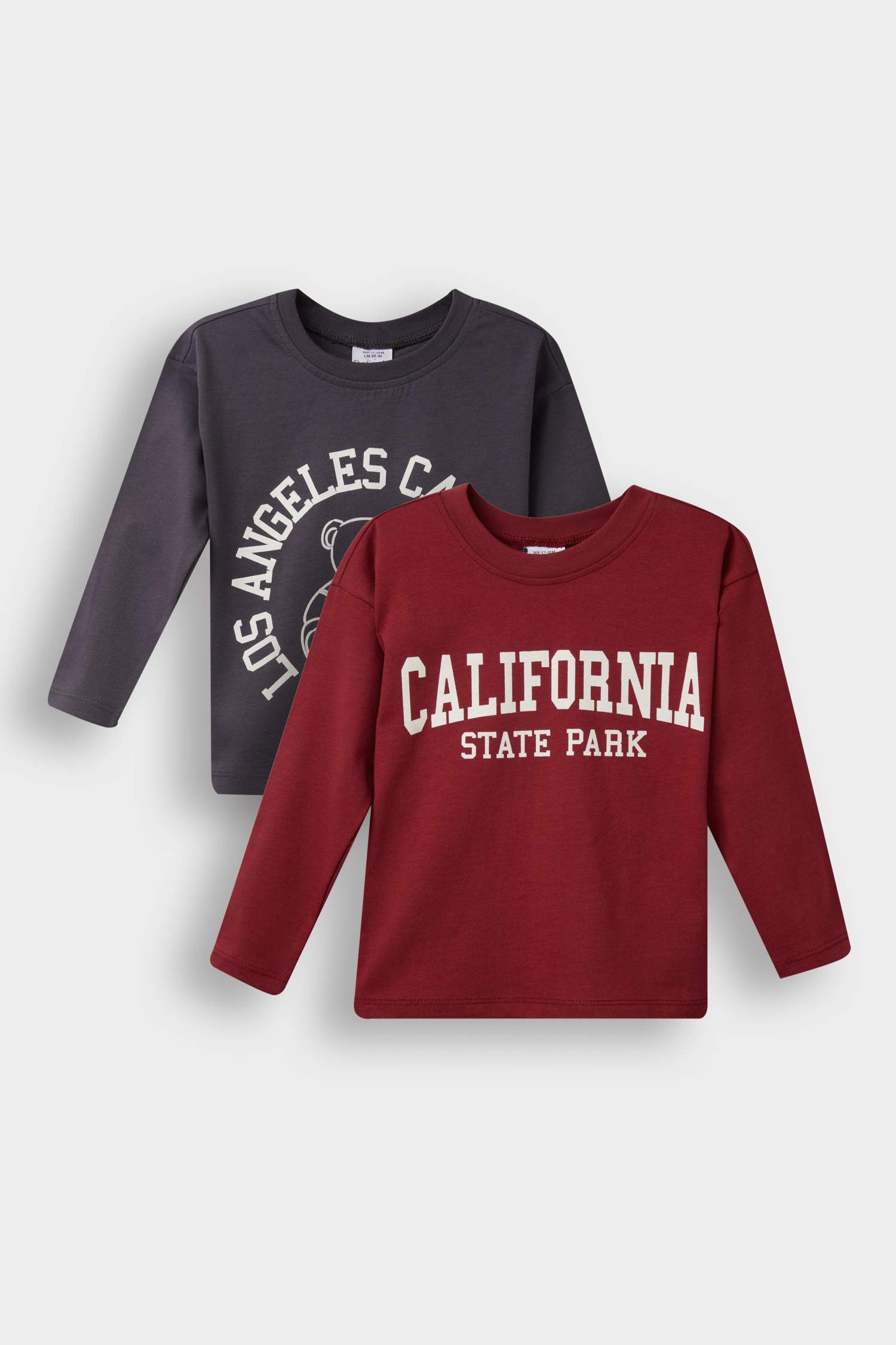 Erkek Bebek Bisiklet Yaka Baskılı 2'li Uzun Kollu Tişört