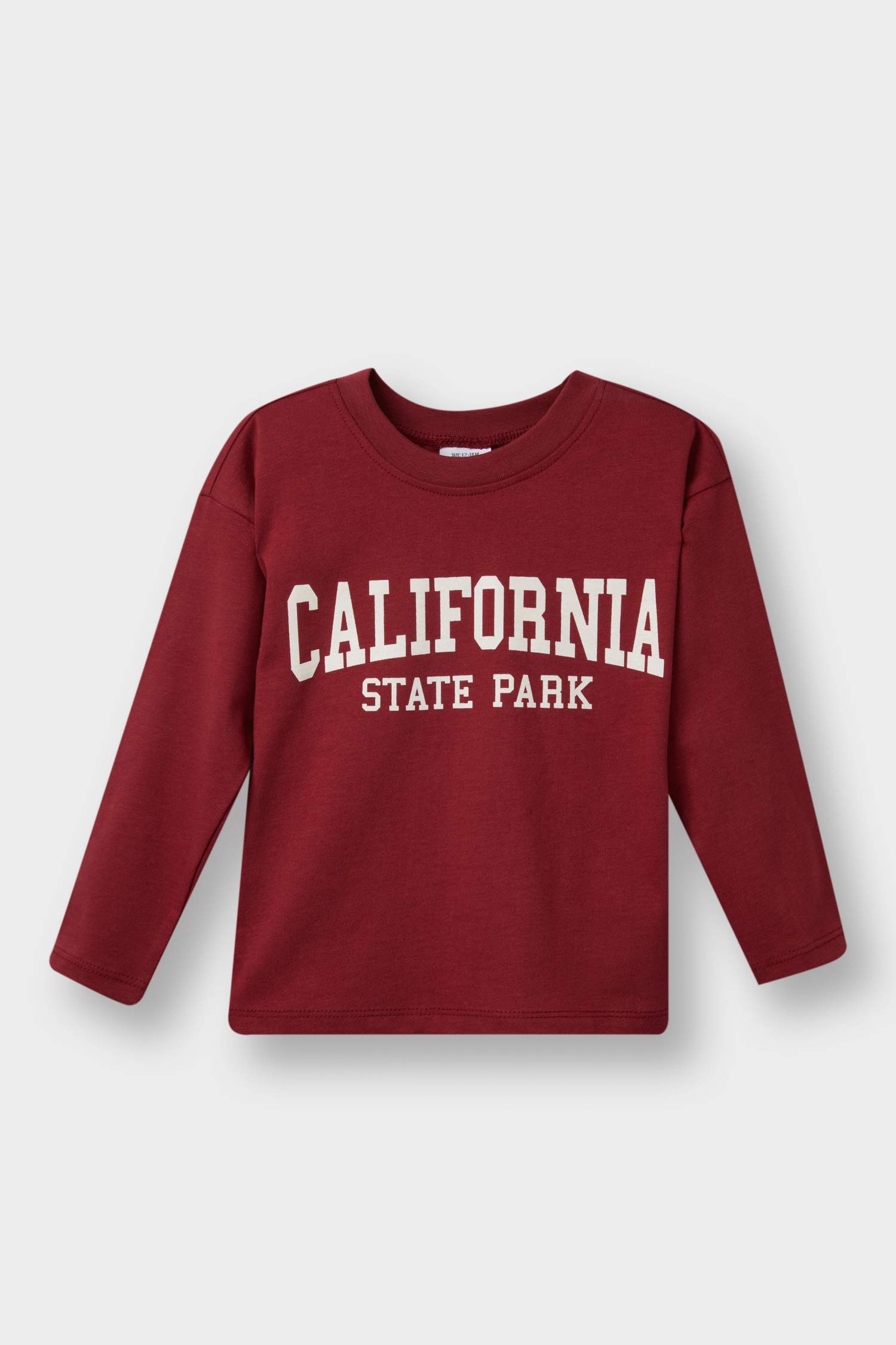 Erkek Bebek Bisiklet Yaka Baskılı 2'li Uzun Kollu Tişört