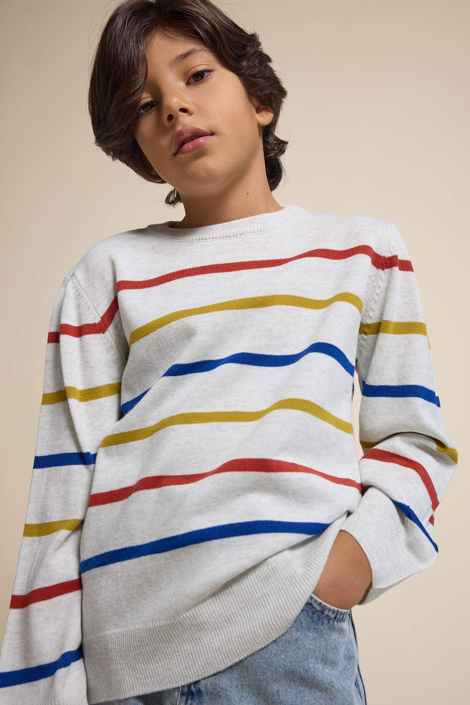 Boy Regular Fit Crew Neck Pullover