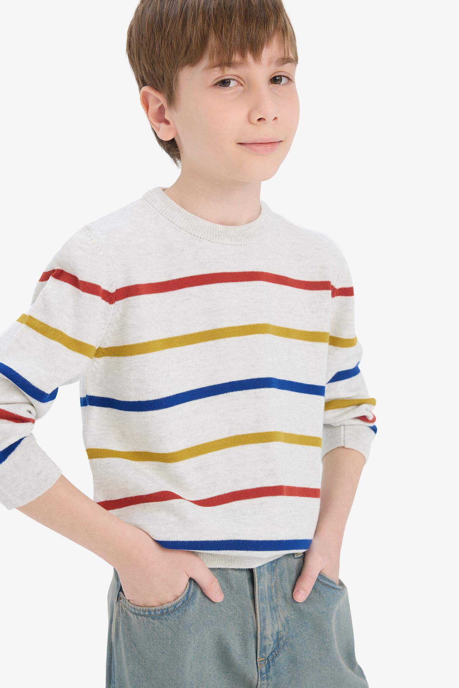 Boy Regular Fit Crew Neck Pullover
