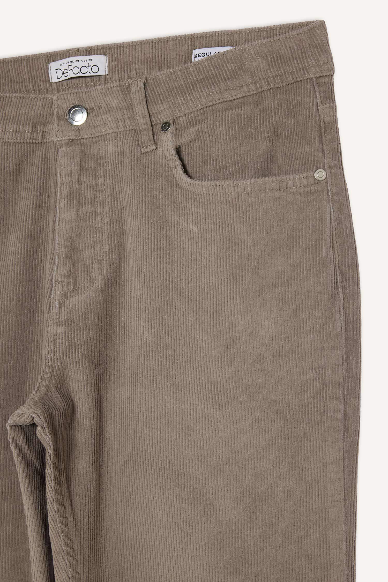 Regular Fit Velvet Trousers