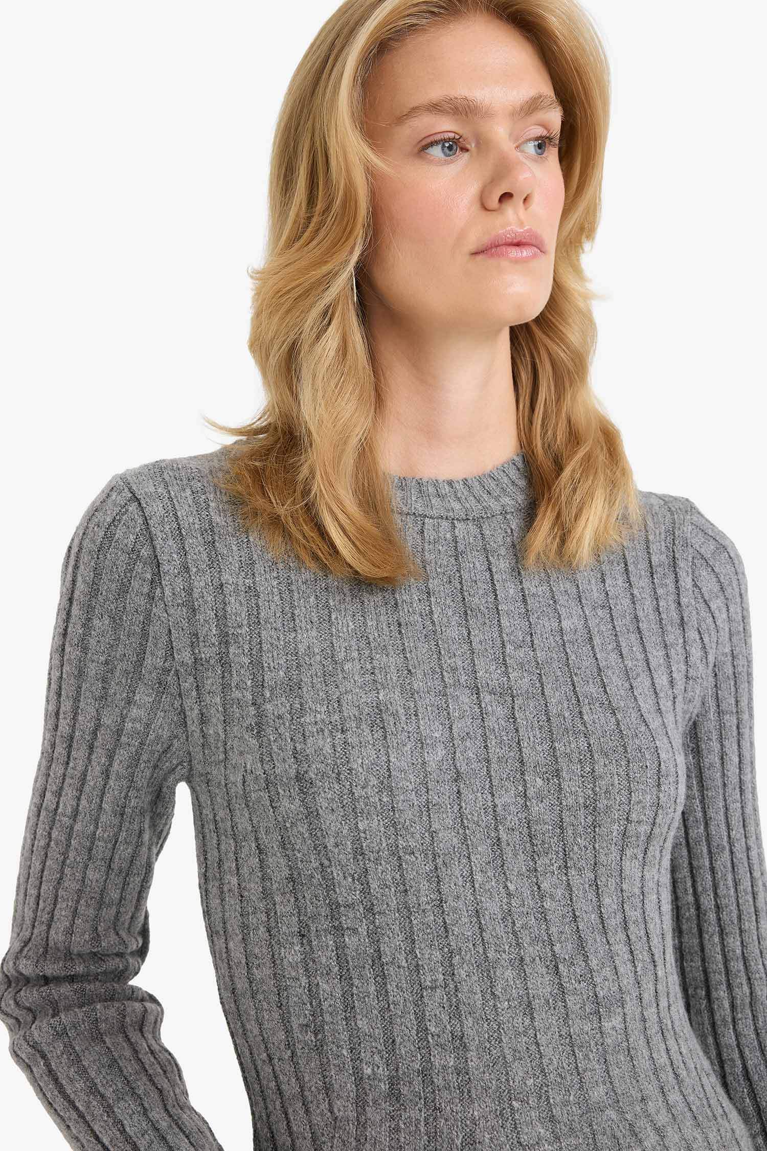 Crew Neck Ribbed Long Sleeve Mini Dress