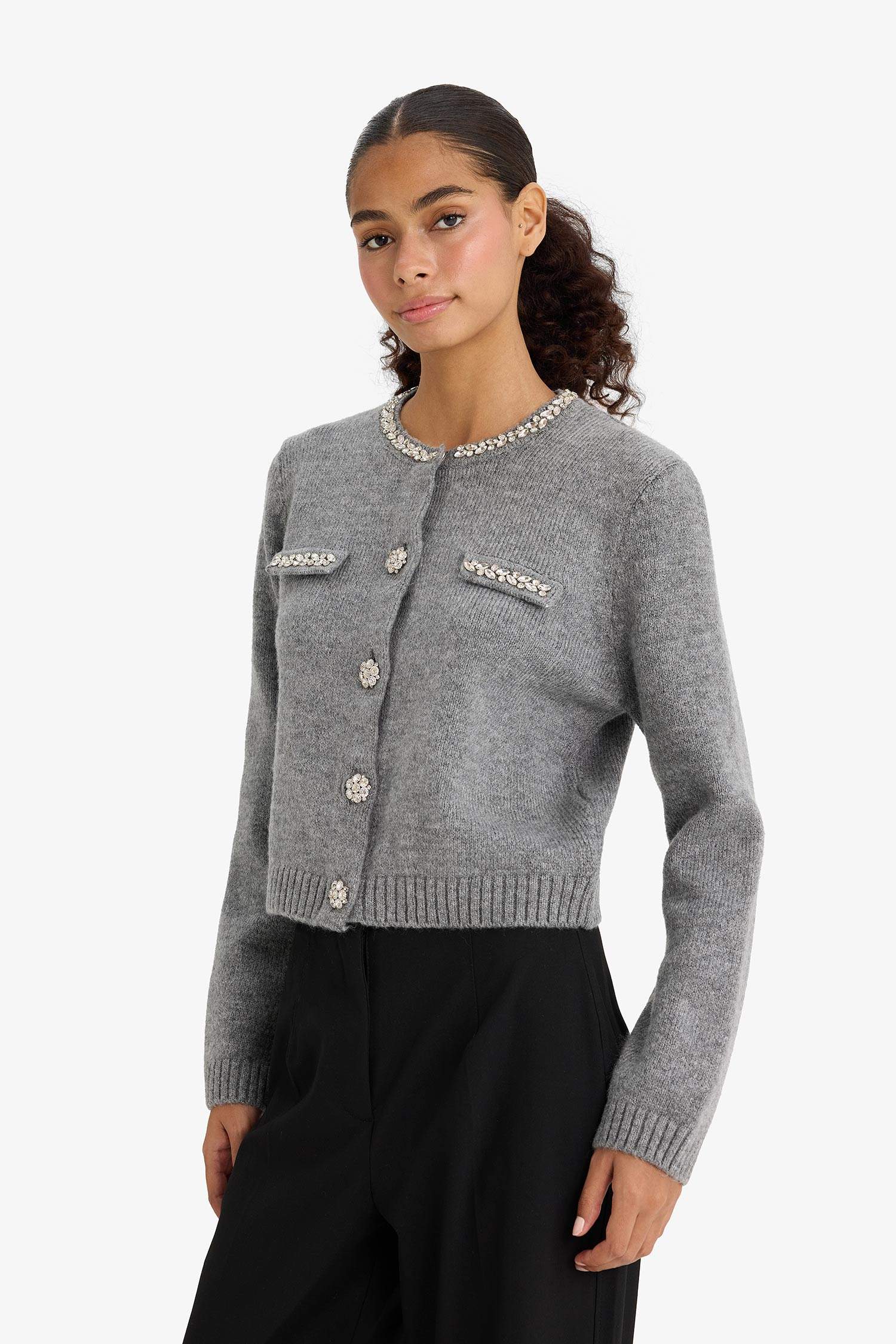 Regular Fit Bisiklet Yaka İşlemeli Triko Hırka