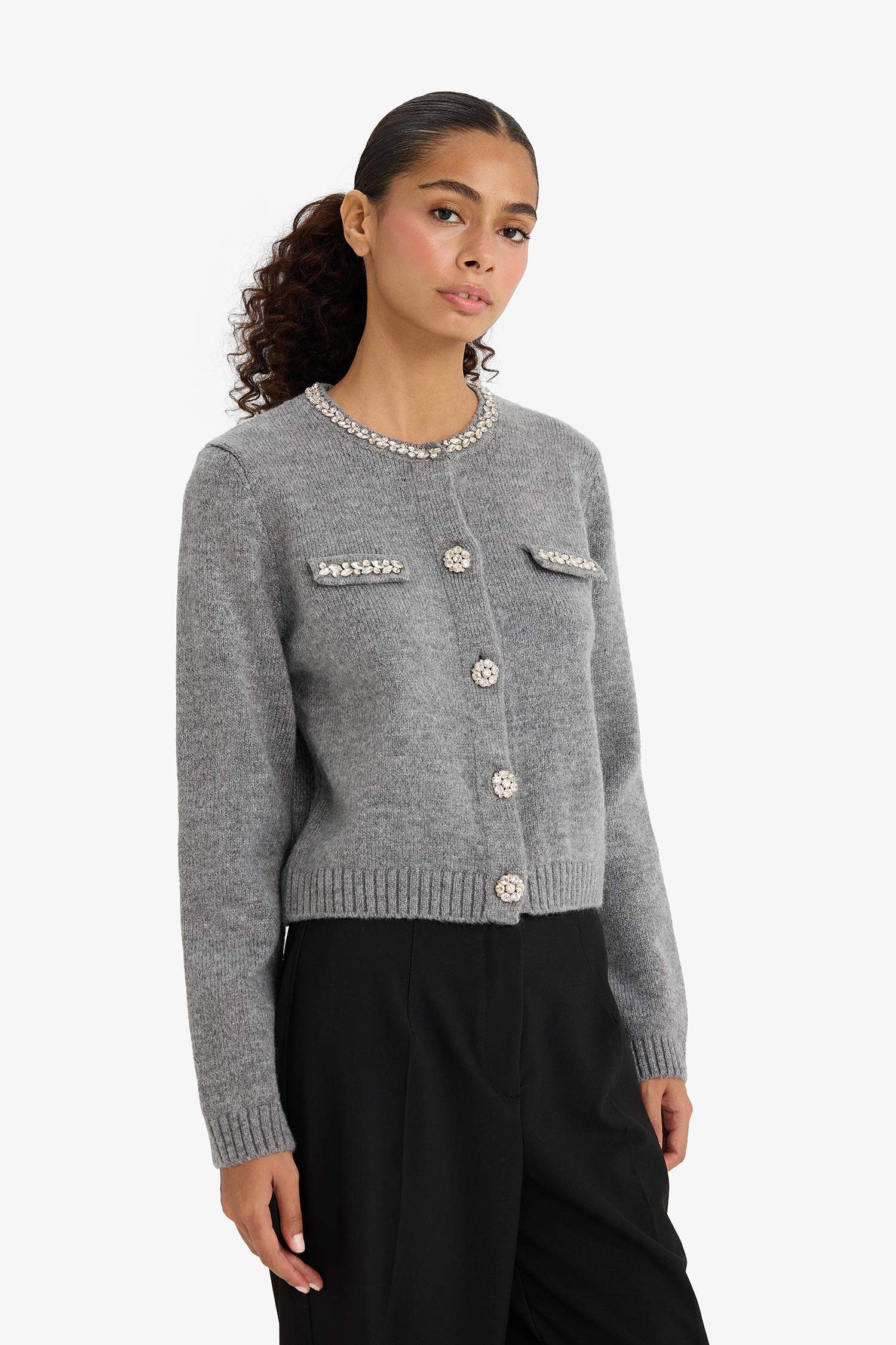 Regular Fit Bisiklet Yaka İşlemeli Triko Hırka