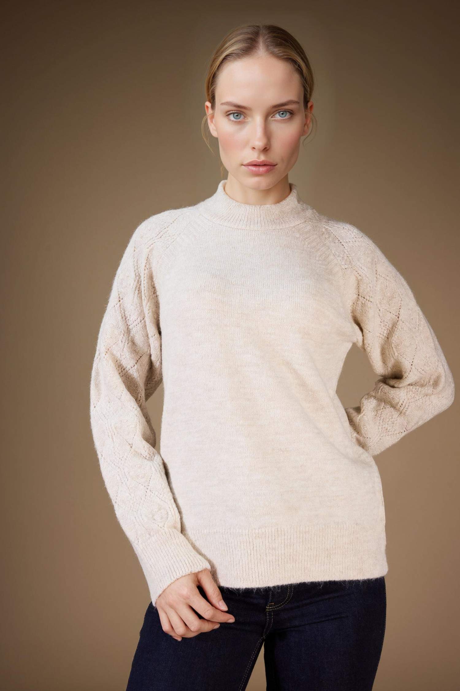Regular Fit Crew Neck Knitwear Pullover