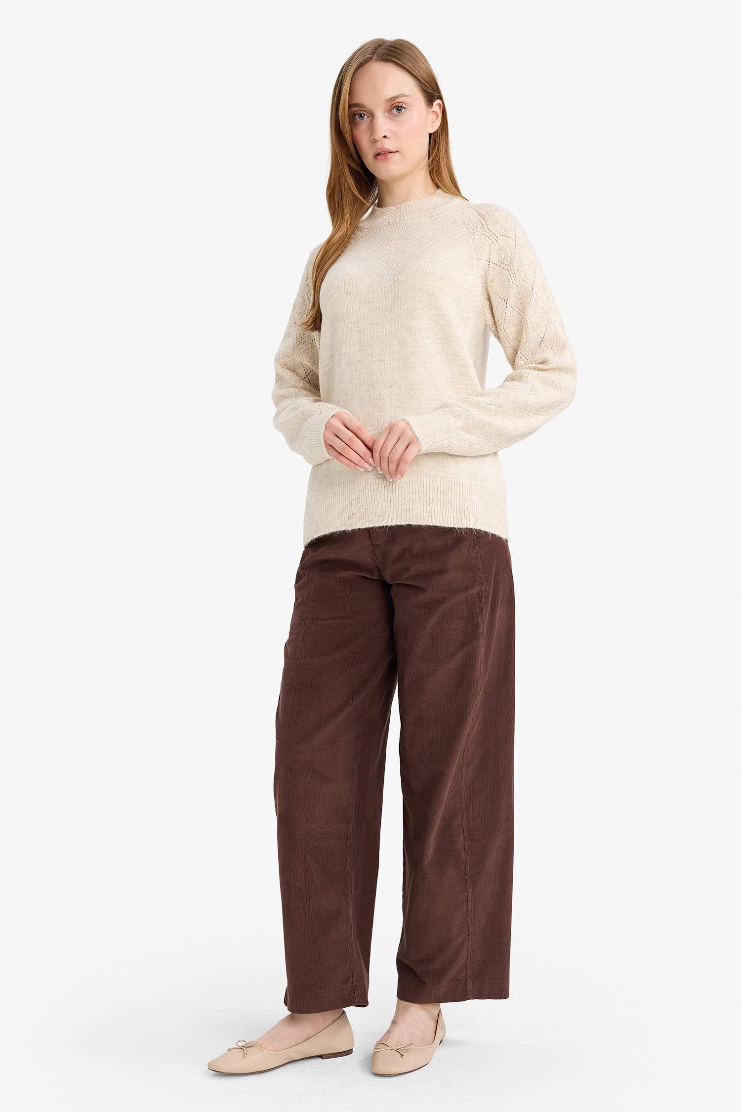 Regular Fit Bisiklet Yaka Triko Kazak