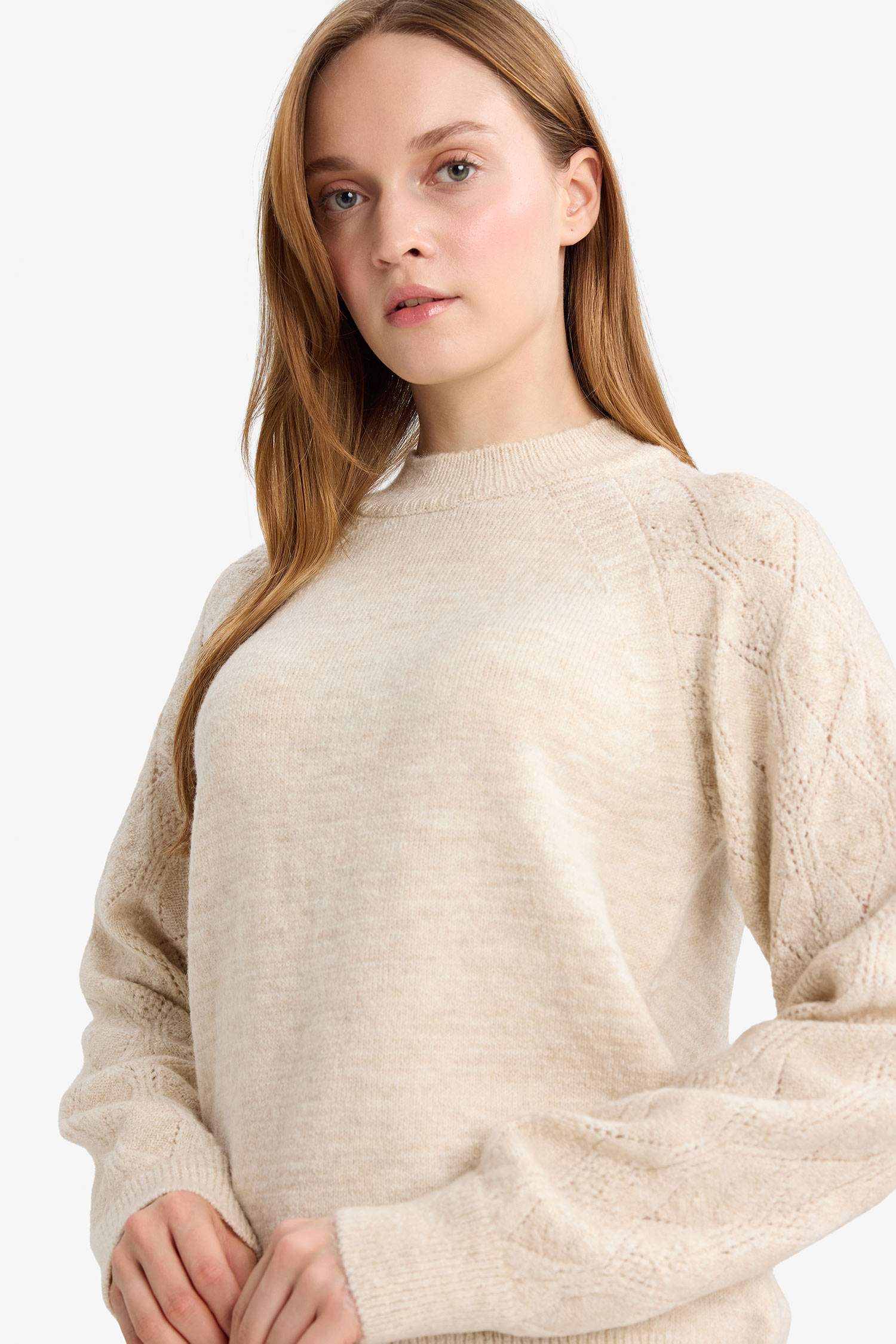 Regular Fit Bisiklet Yaka Triko Kazak