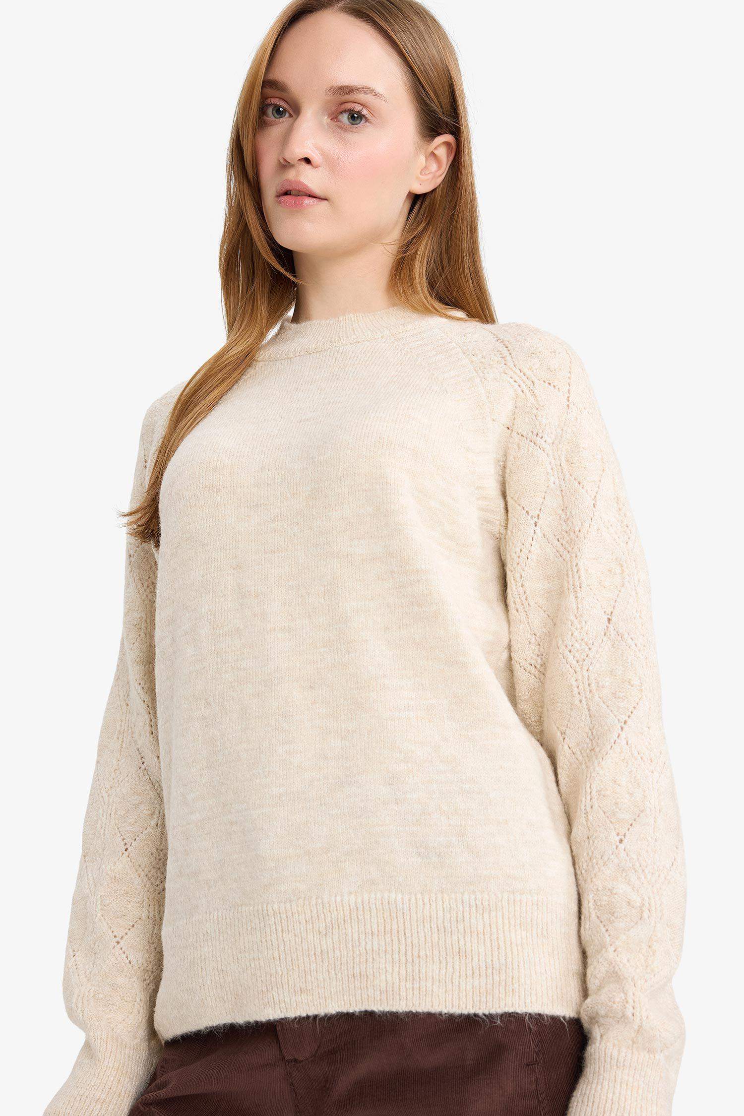 Regular Fit Crew Neck Knitwear Pullover