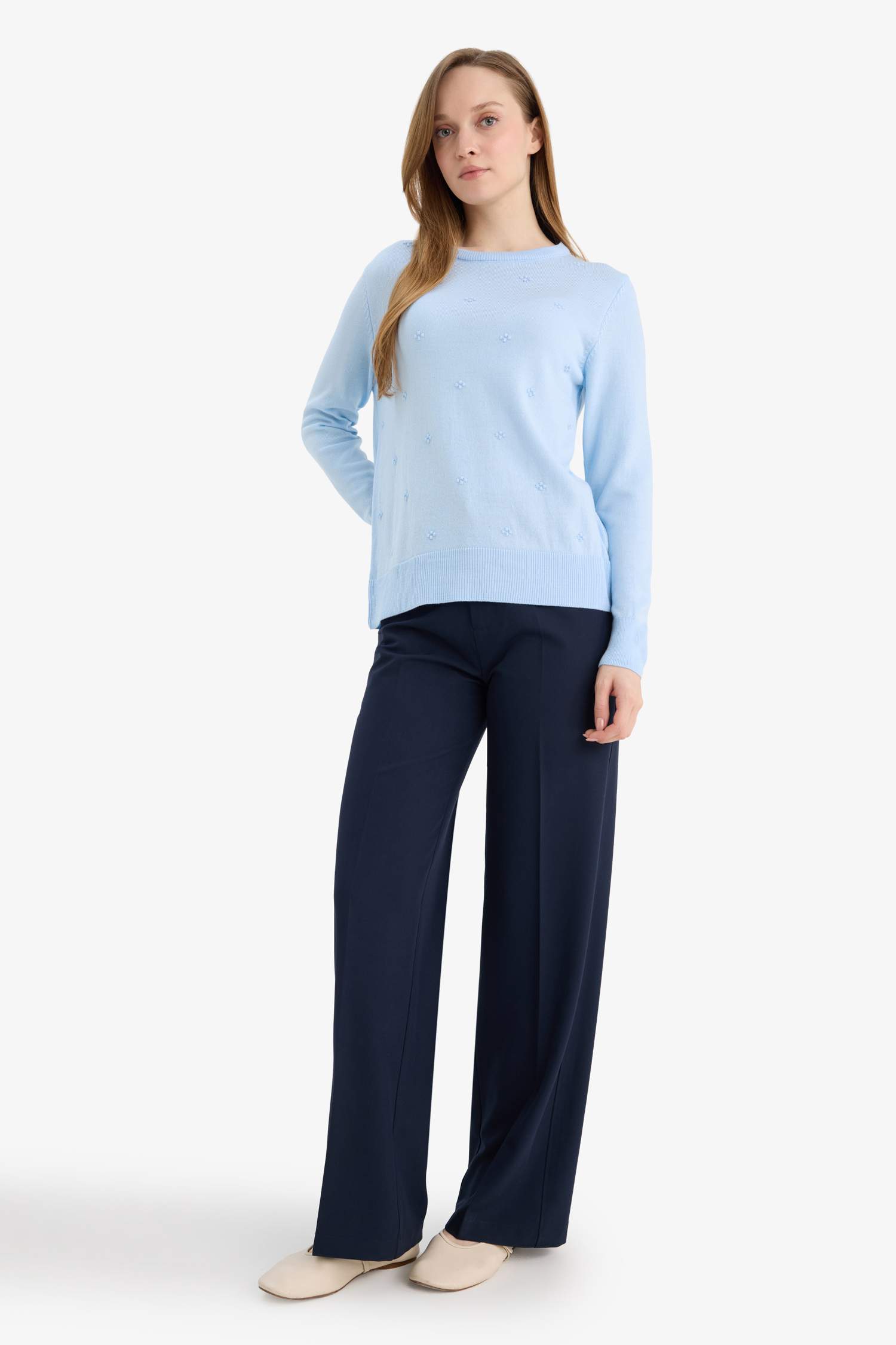 Regular Fit Crew Neck Knitwear Pullover