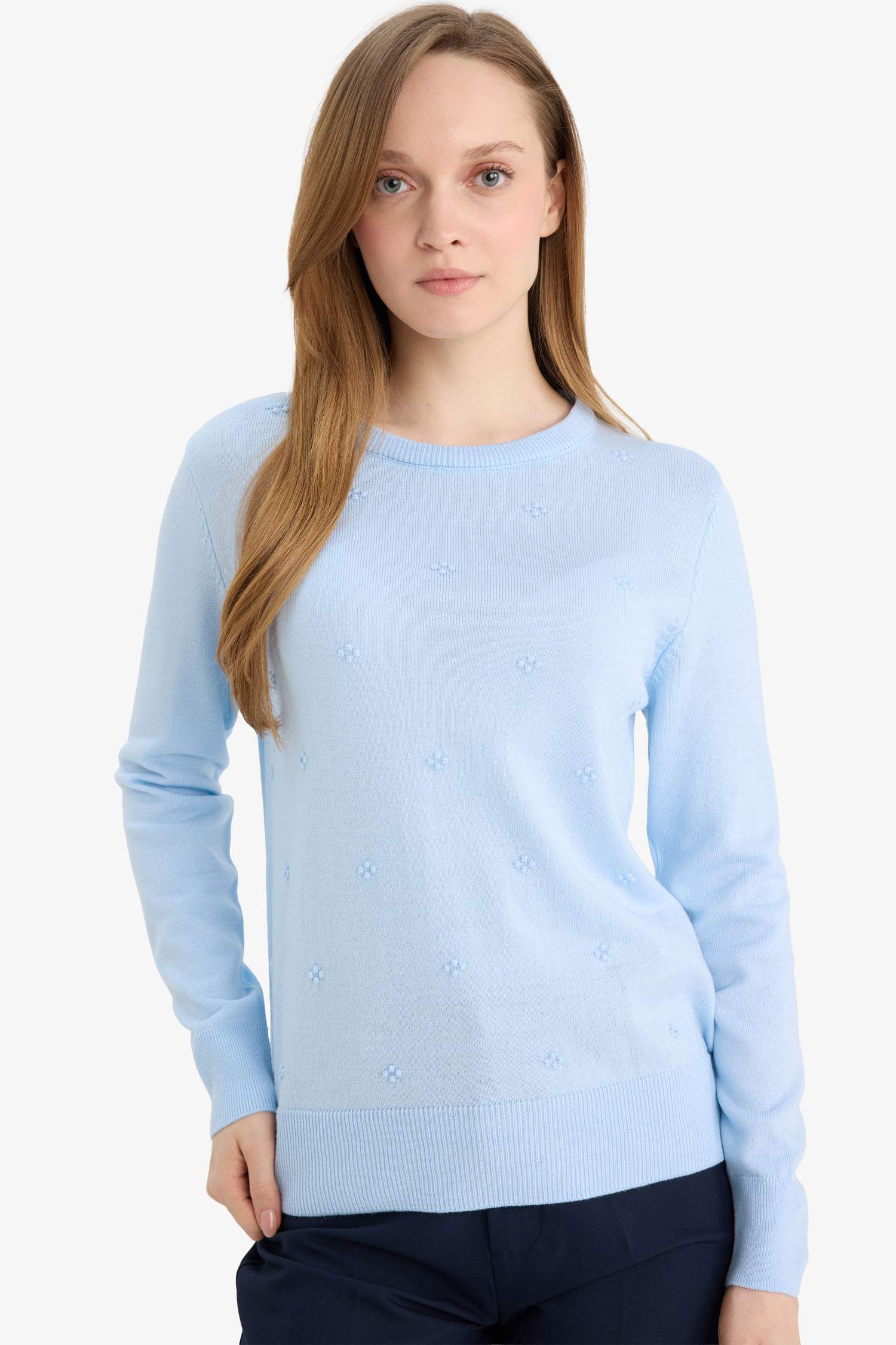Regular Fit Crew Neck Knitwear Pullover