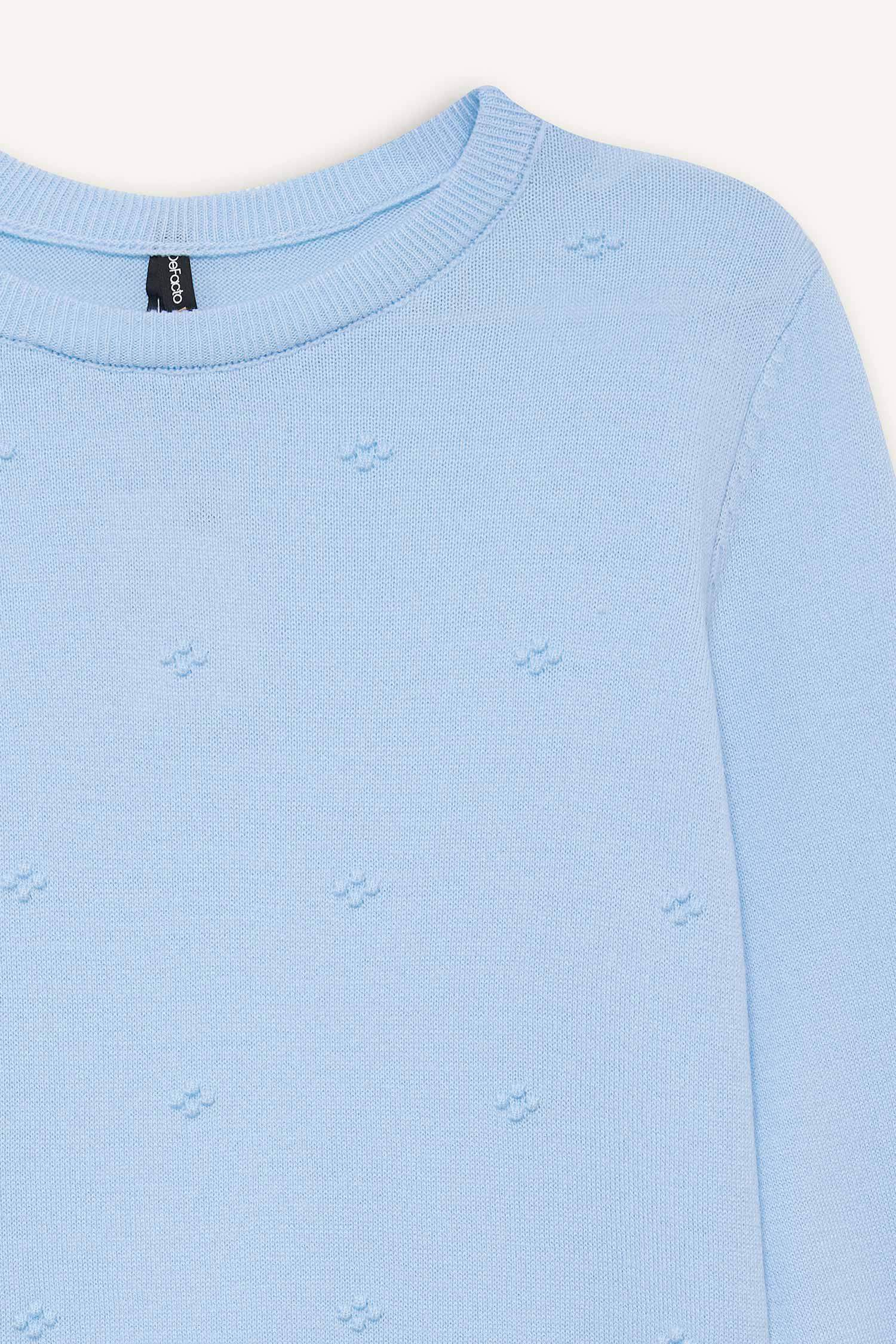 Regular Fit Crew Neck Knitwear Pullover