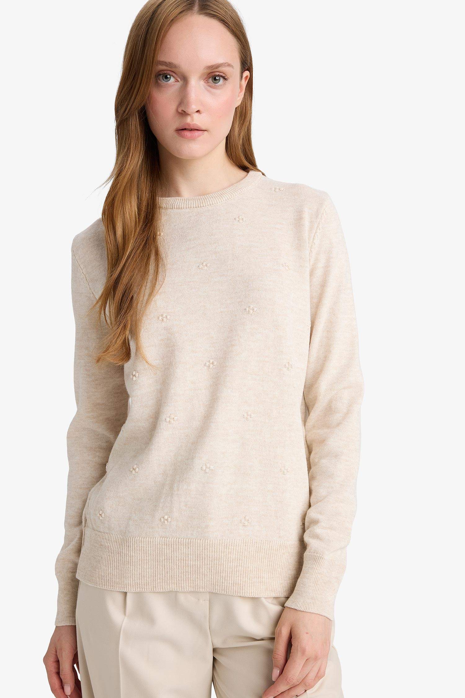 Regular Fit Crew Neck Knitwear Pullover