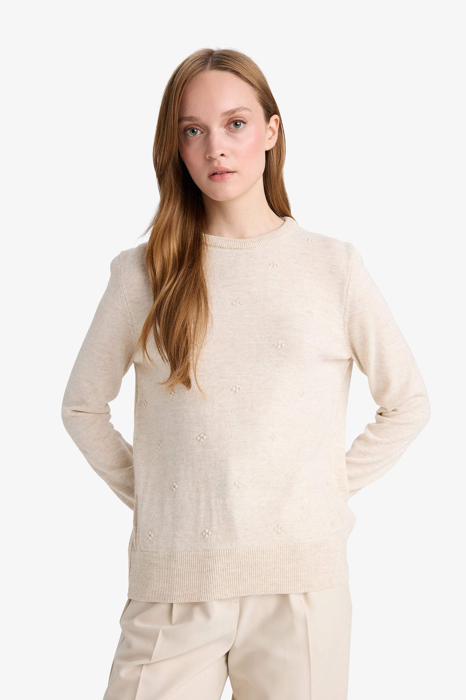 Regular Fit Crew Neck Knitwear Pullover