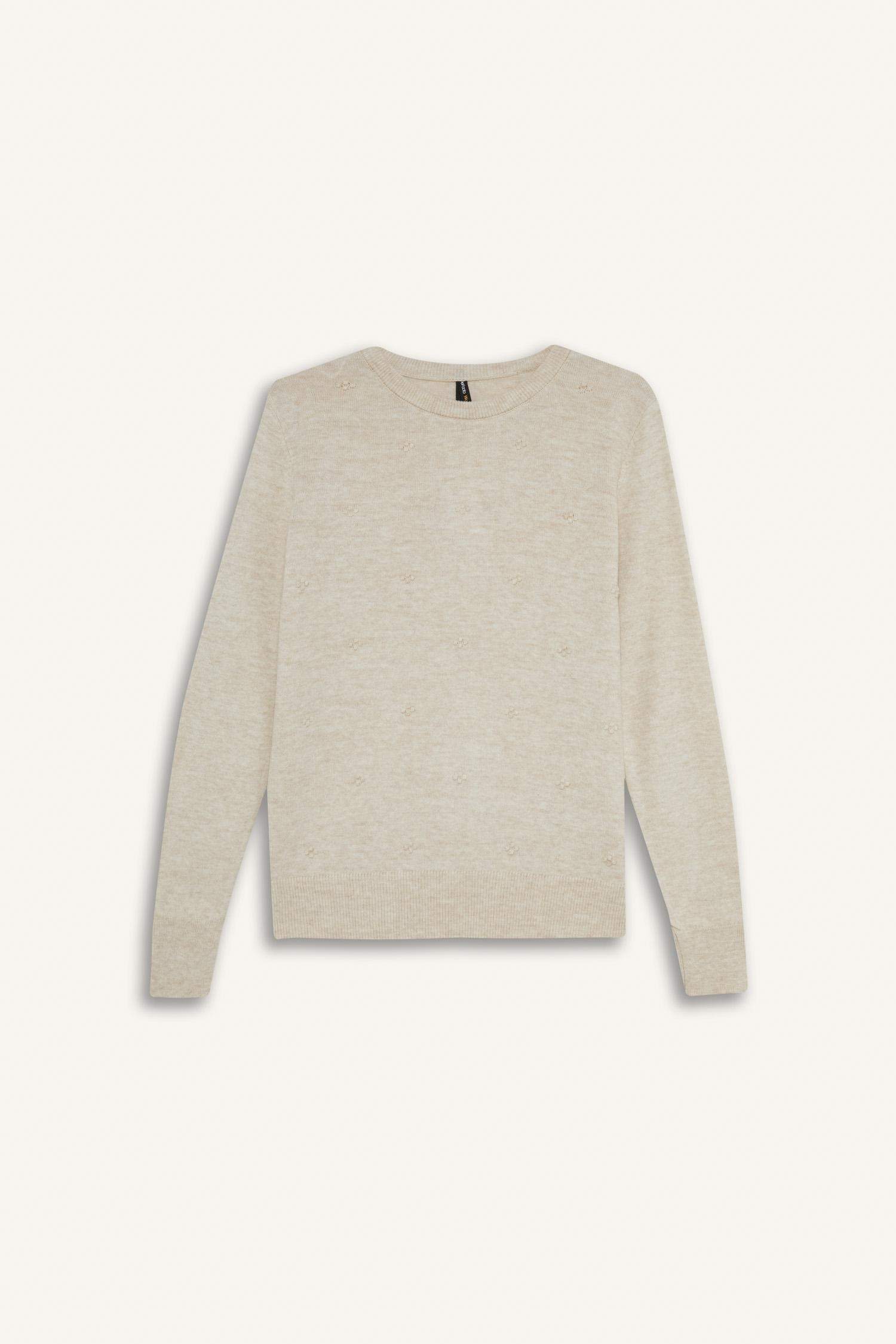 Regular Fit Crew Neck Knitwear Pullover