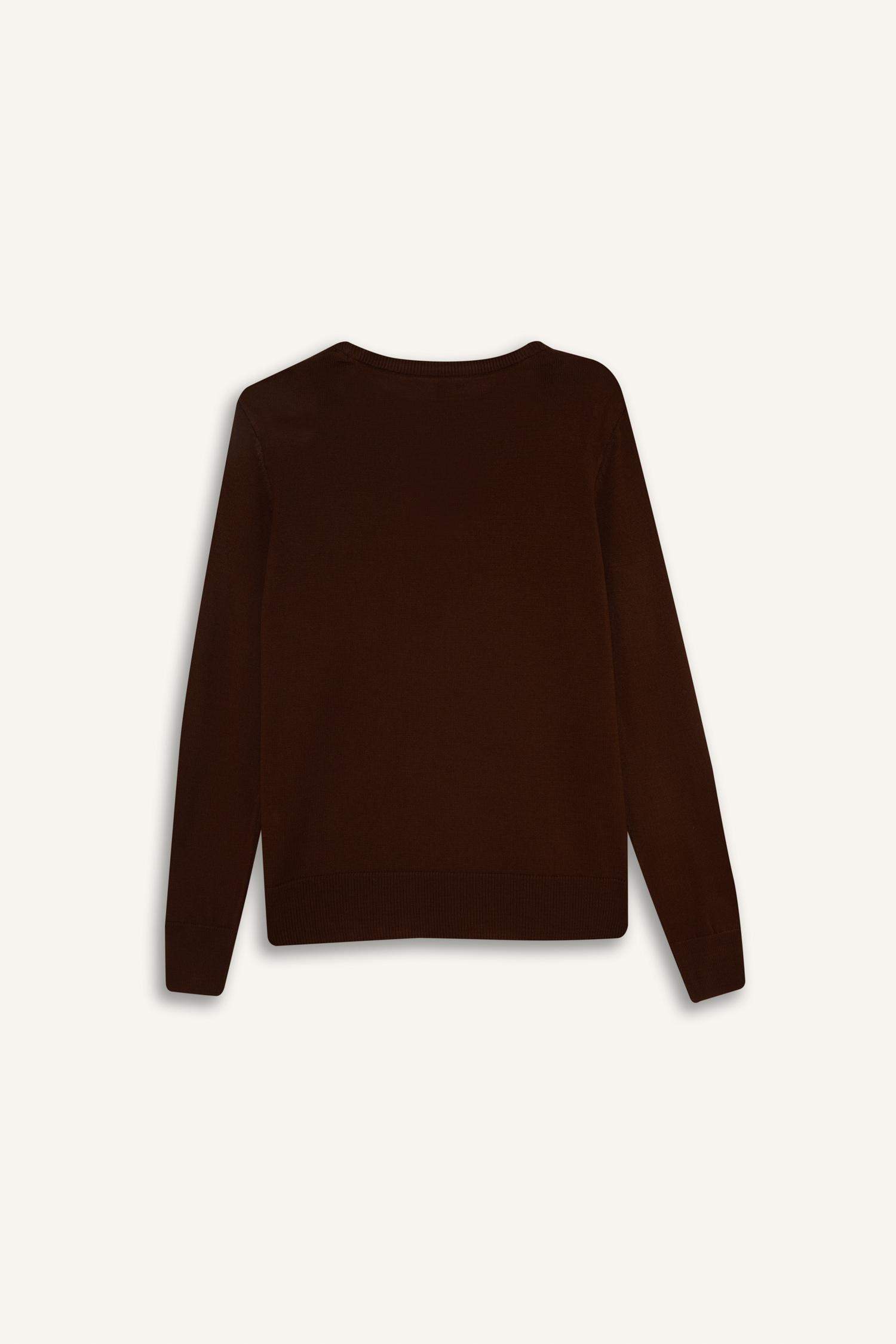 Regular Fit Crew Neck Knitwear Pullover