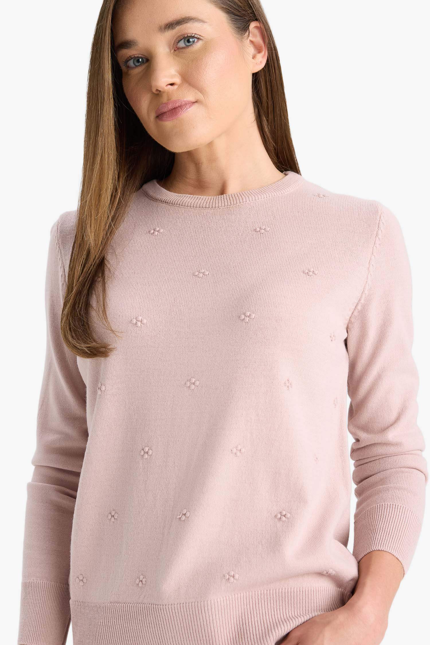 Regular Fit Crew Neck Knitwear Pullover