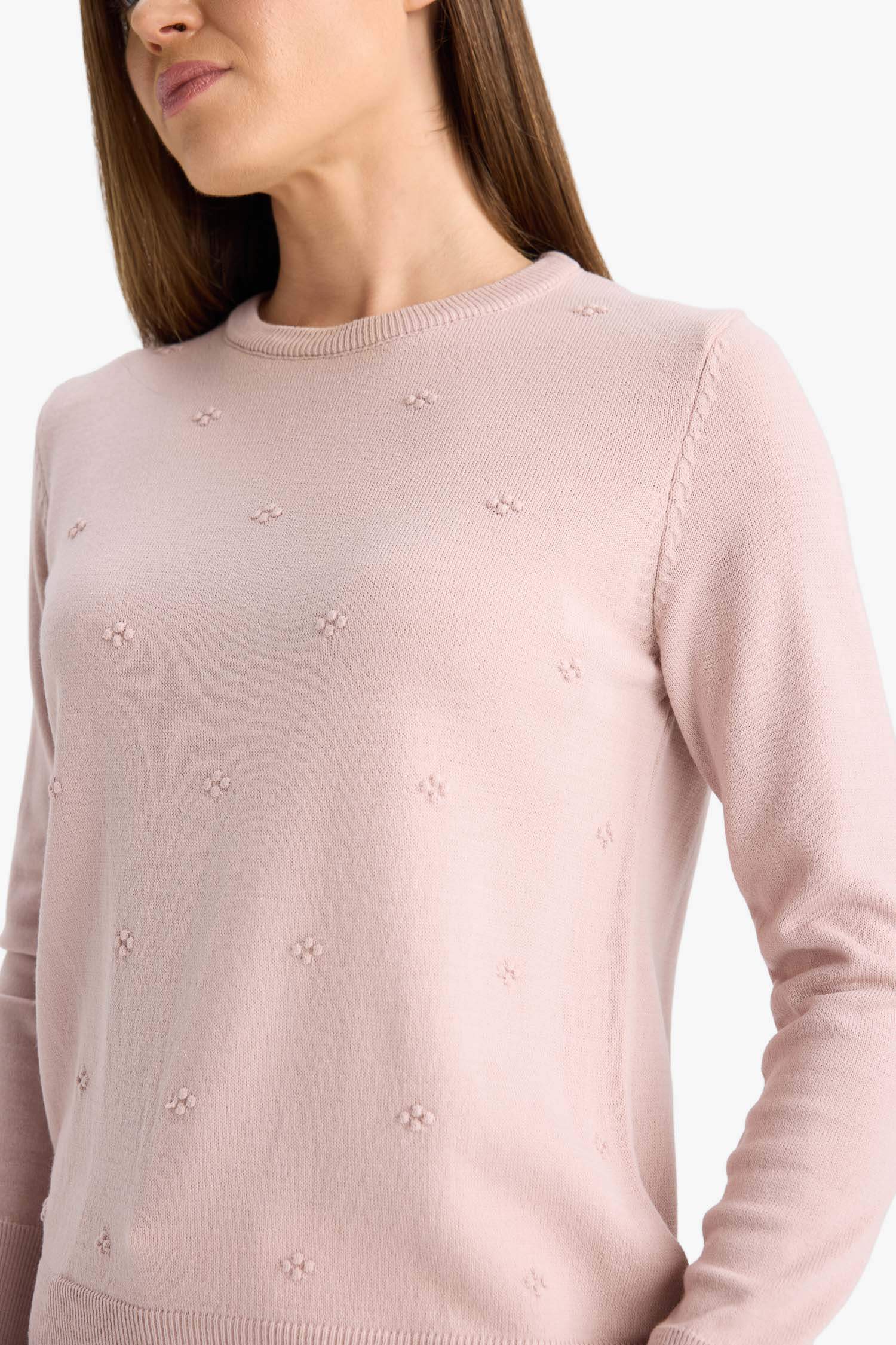 Regular Fit Crew Neck Knitwear Pullover