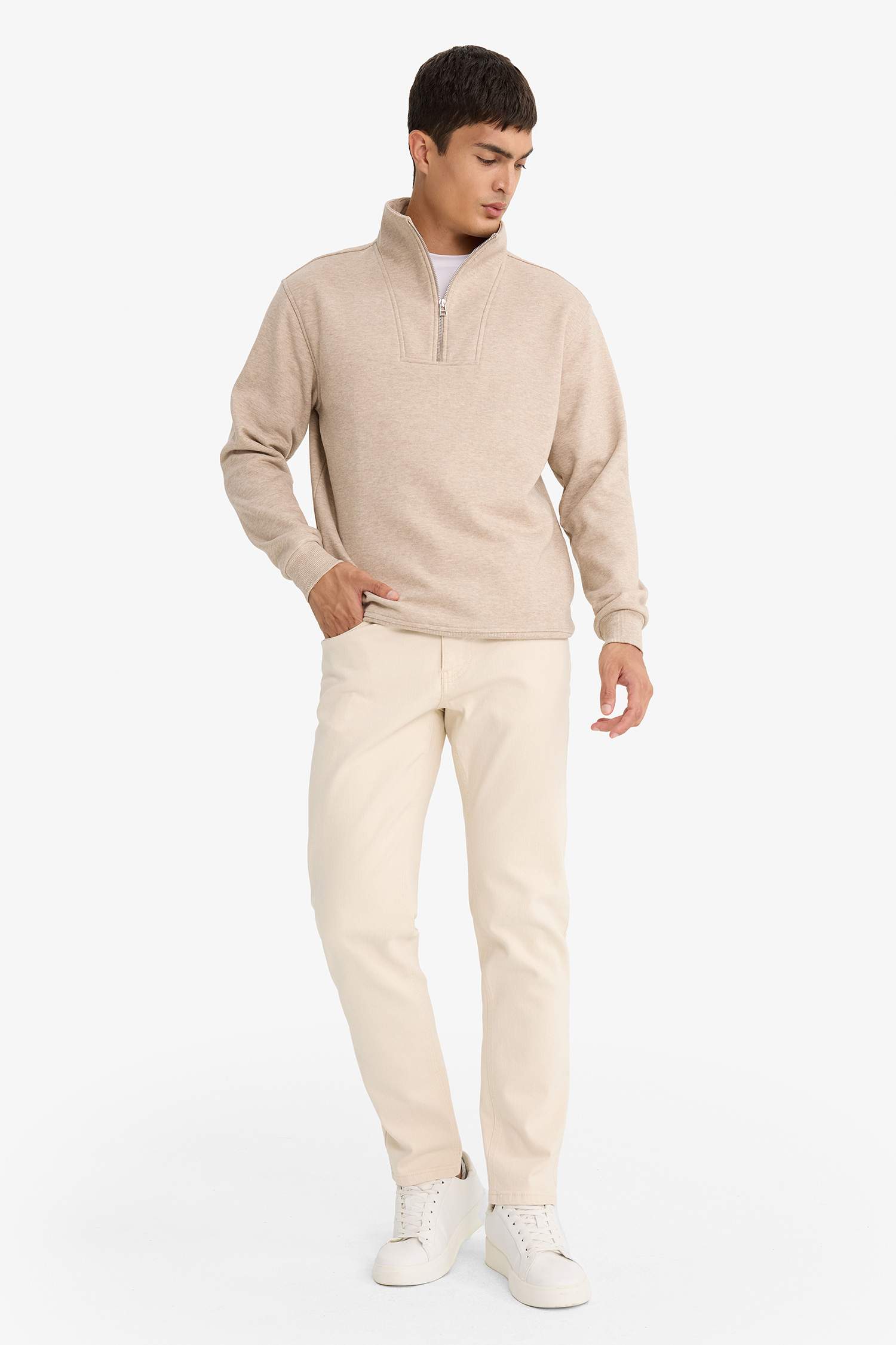 Regular Fit Stand Collar Half Zippered Sweatshirt