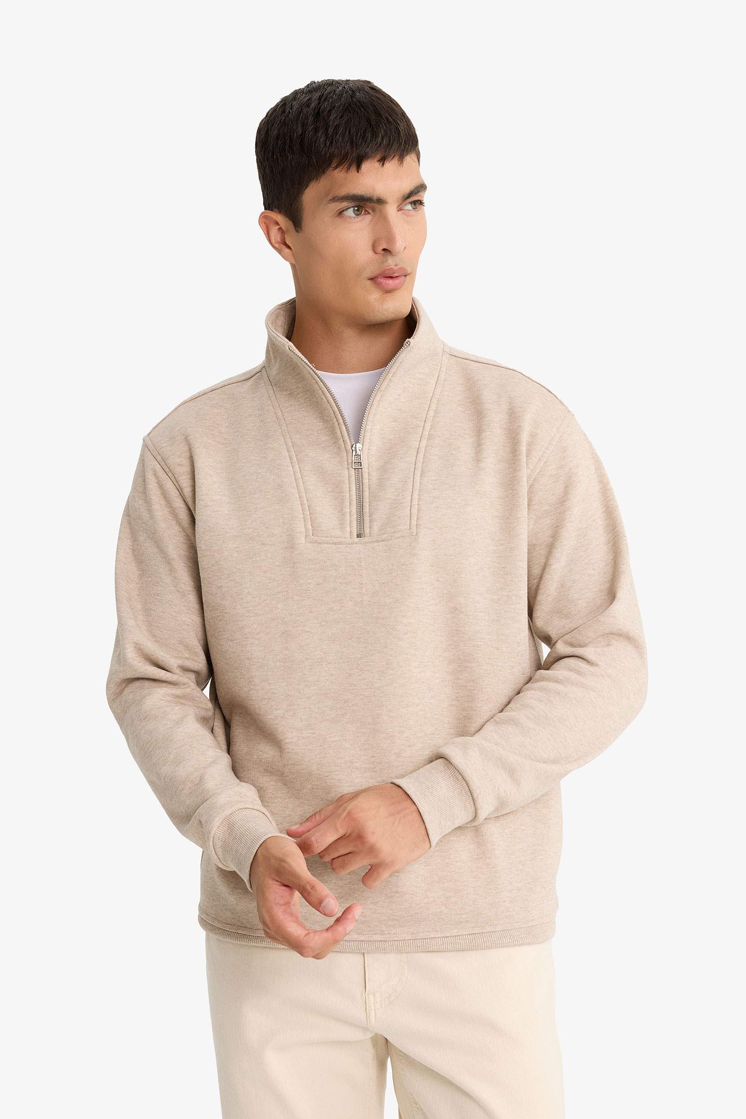 Regular Fit Stand Collar Half Zippered Sweatshirt
