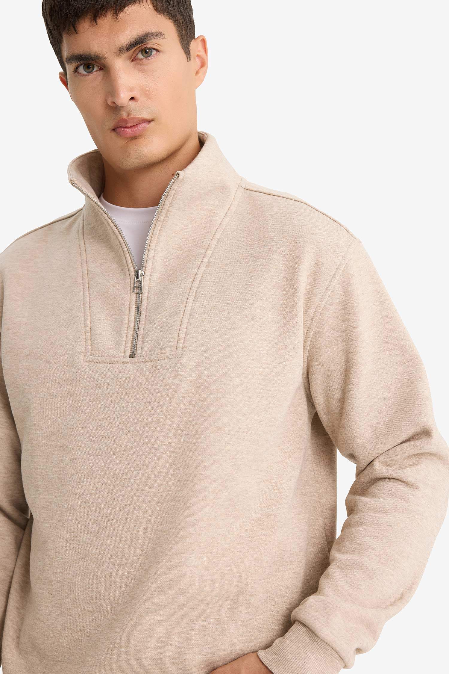 Regular Fit Stand Collar Half Zippered Sweatshirt