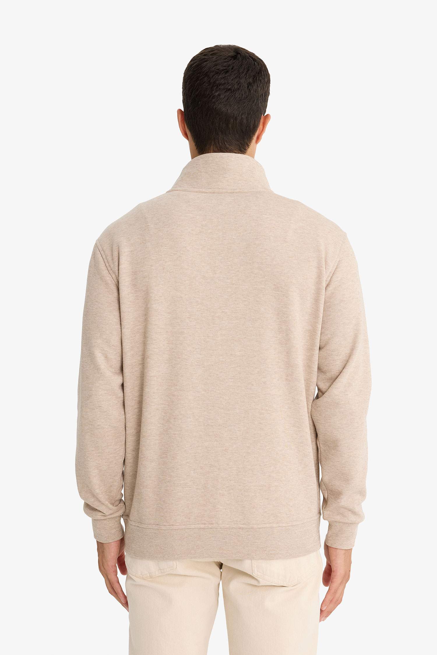 Regular Fit Stand Collar Half Zippered Sweatshirt