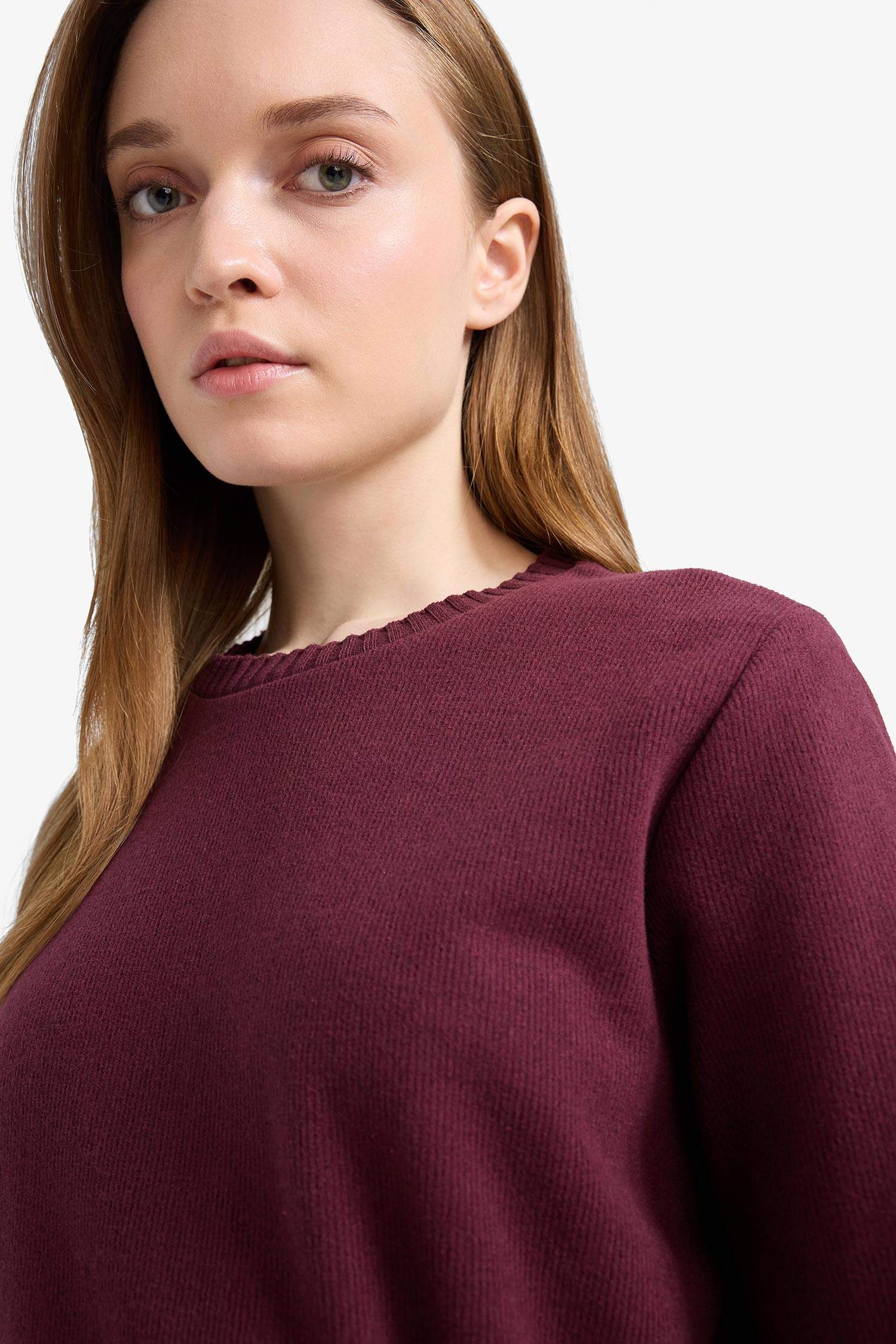 Regular Fit Bisiklet Yaka İçi Yumuşak Tüylü Selanik Kumaş Uzun Kollu Tunik