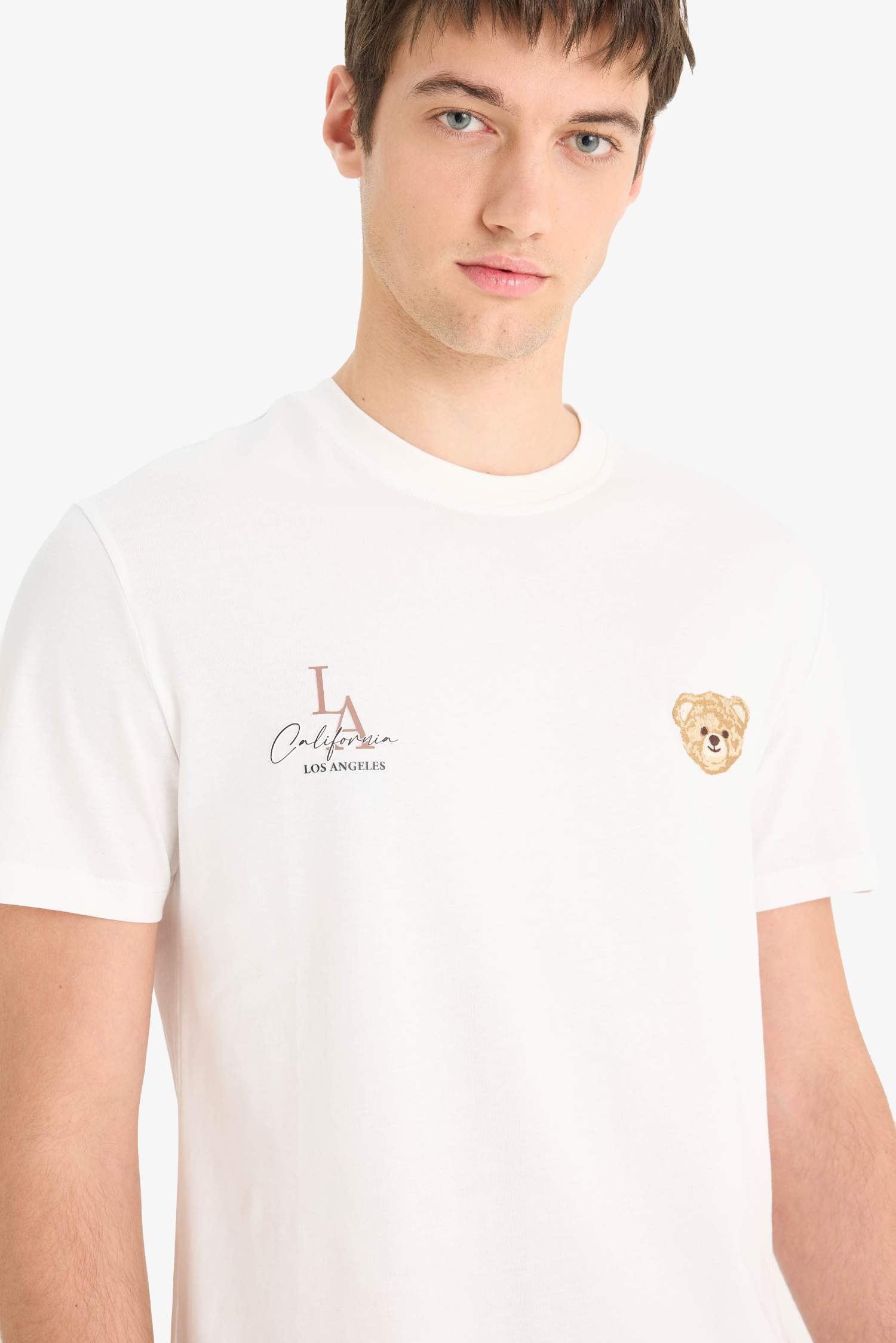 تيشيرت نص ردن قطن مطبوع قصة عادية بياخة مستديرة