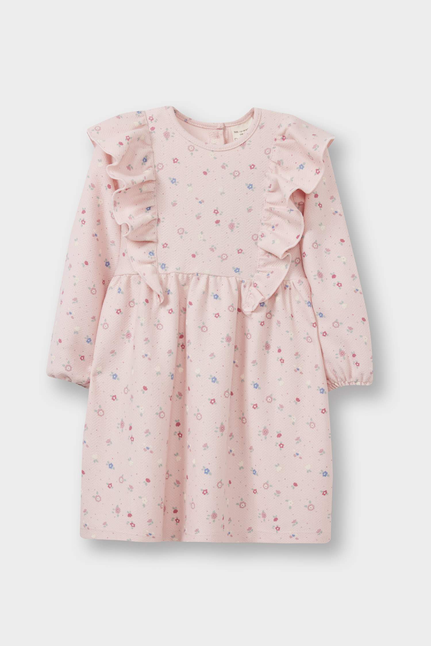Baby Girl Floral Long Sleeve Dress