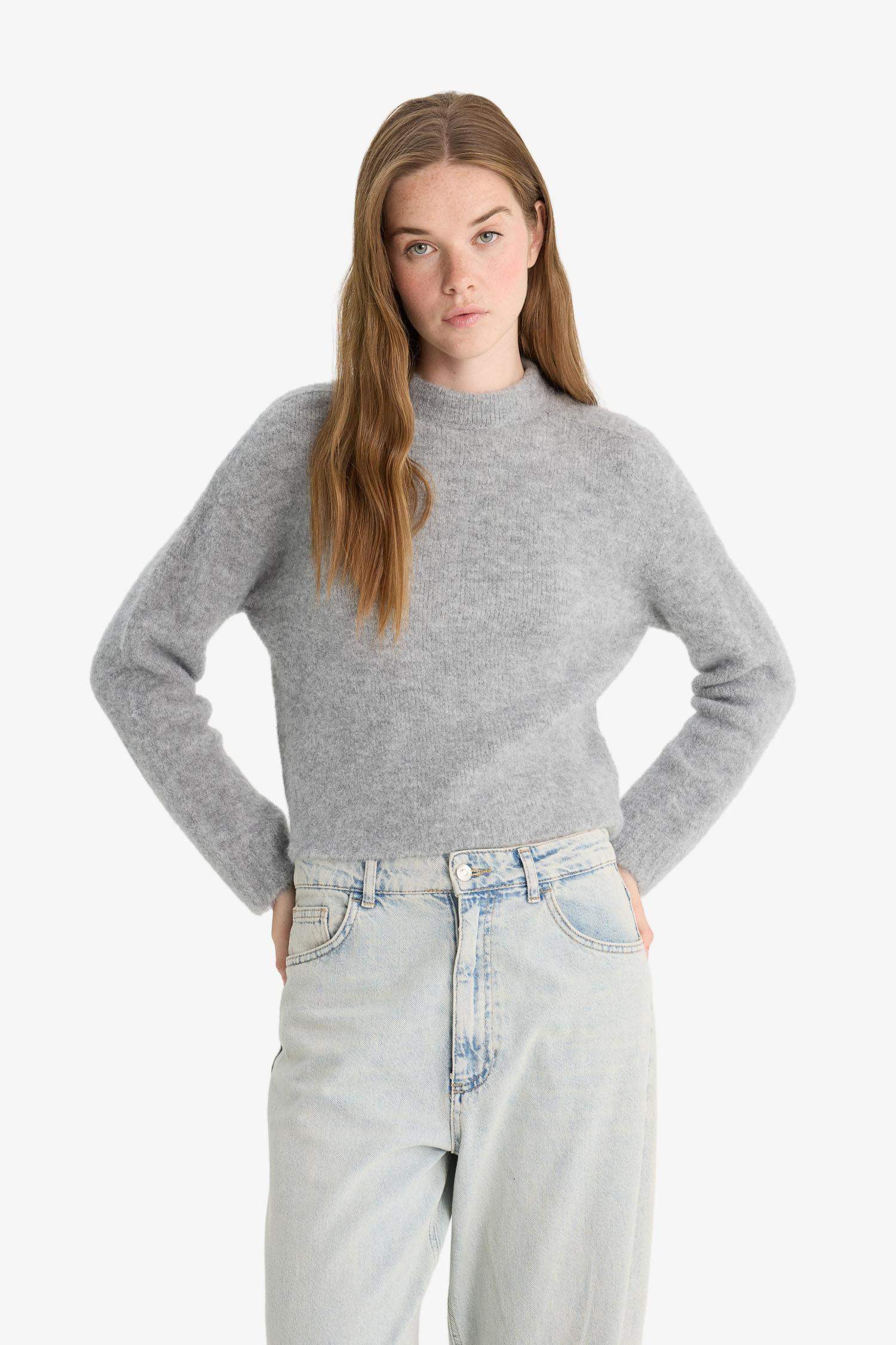 Regular Fit Half Turtleneck Pullover