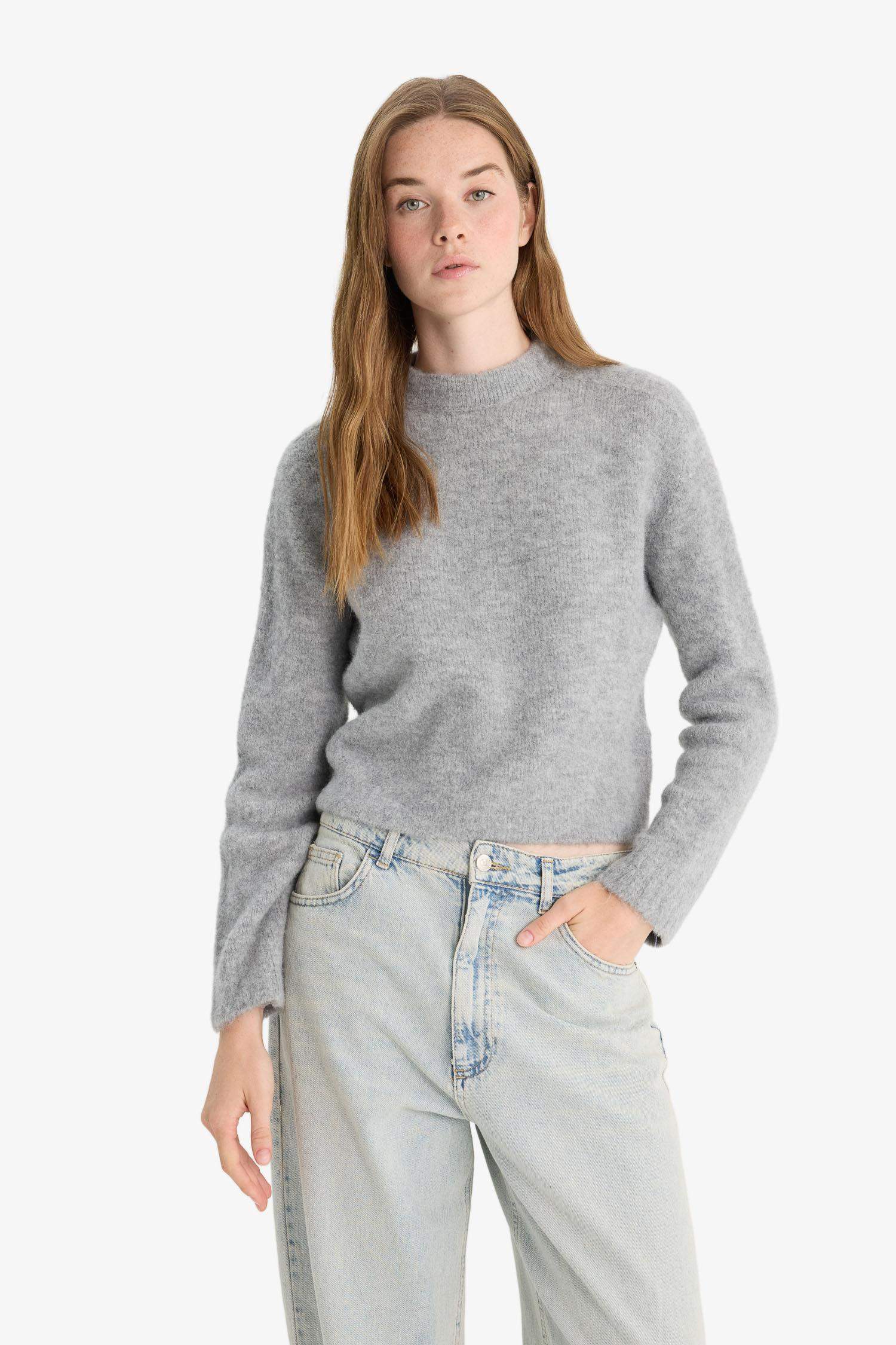 Regular Fit Half Turtleneck Pullover