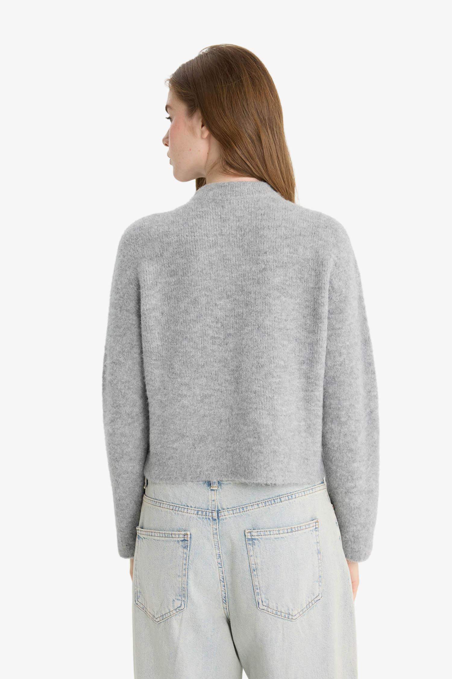 Regular Fit Half Turtleneck Pullover