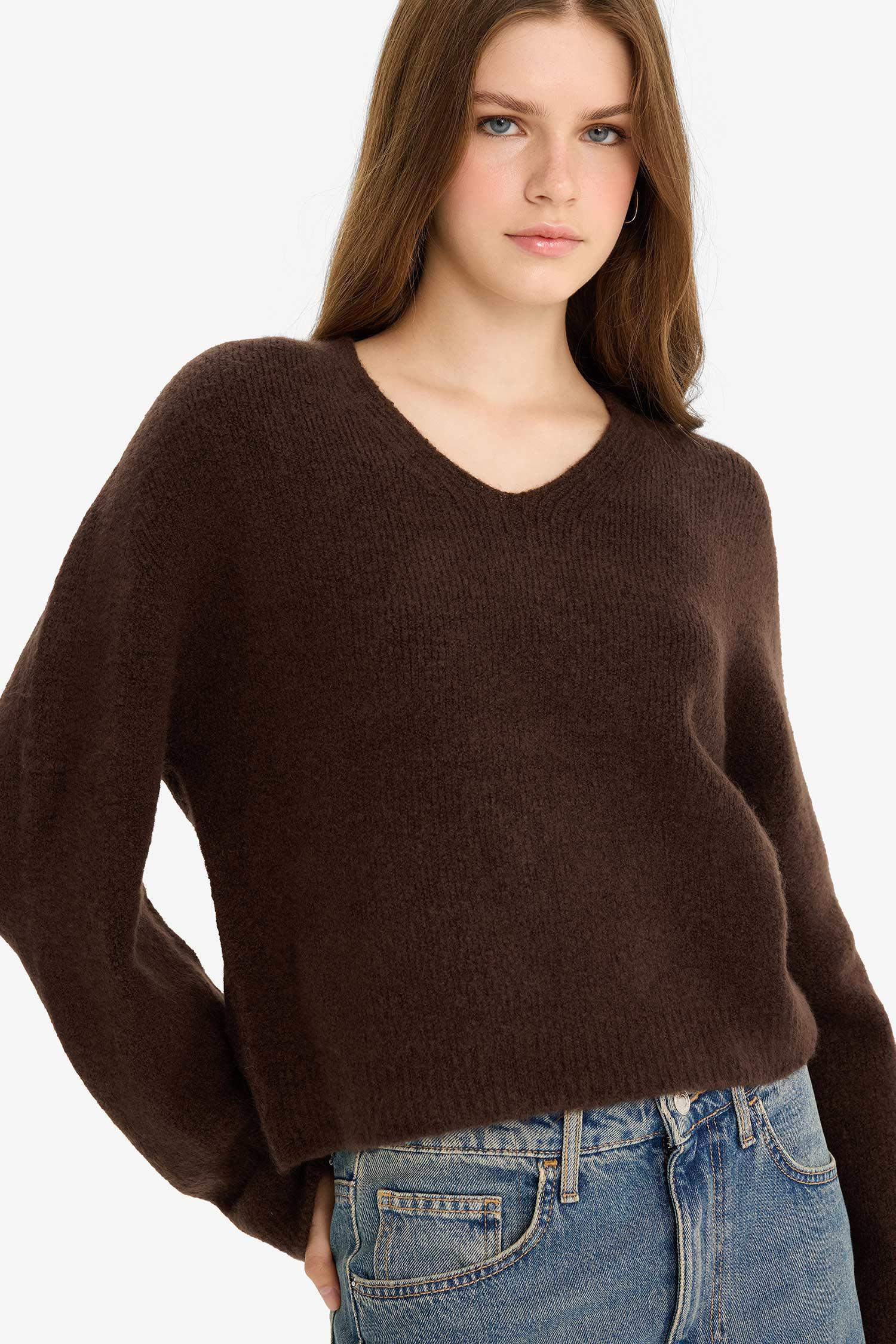 Regular Fit V-Neck Pullover