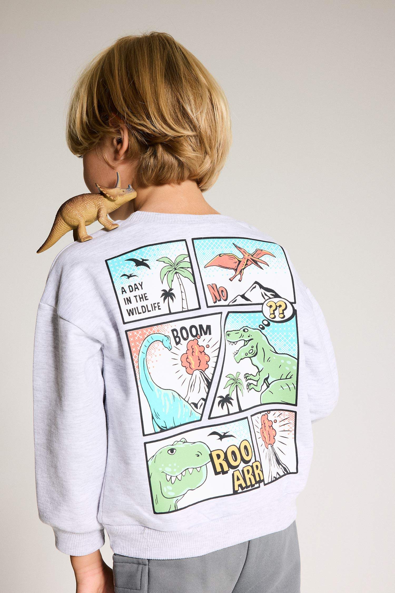 Baby Boy Crew Neck Dinosaur Printed Sweatshirt
