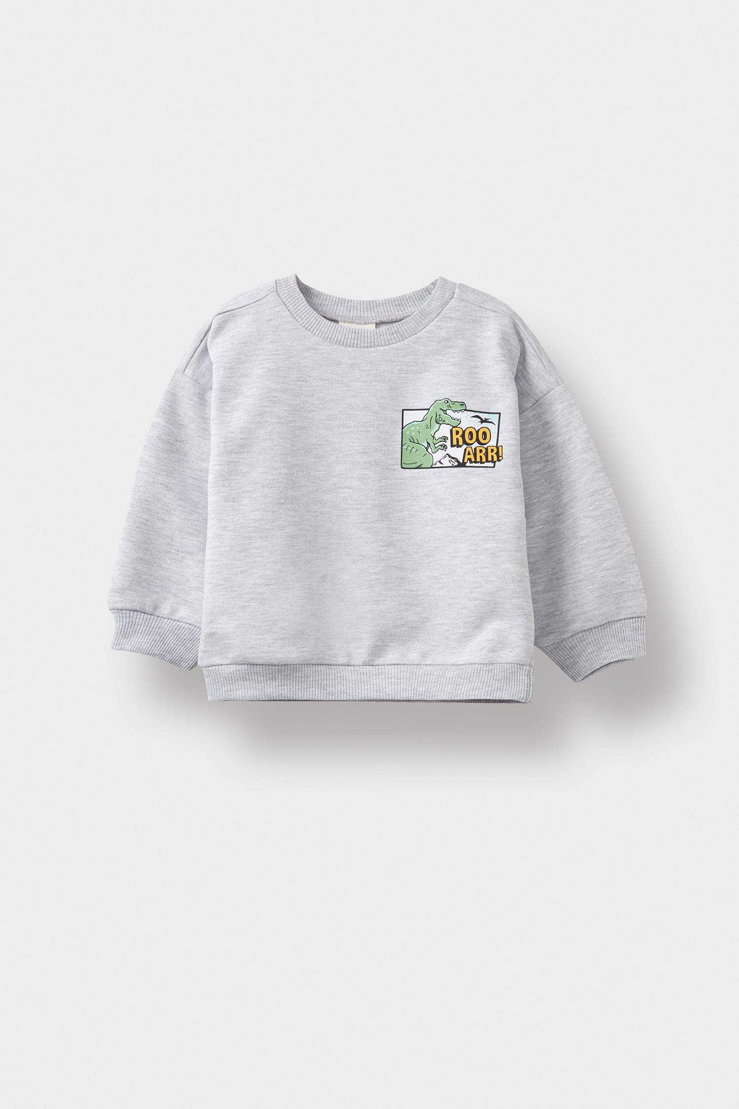 Baby Boy Crew Neck Dinosaur Printed Sweatshirt