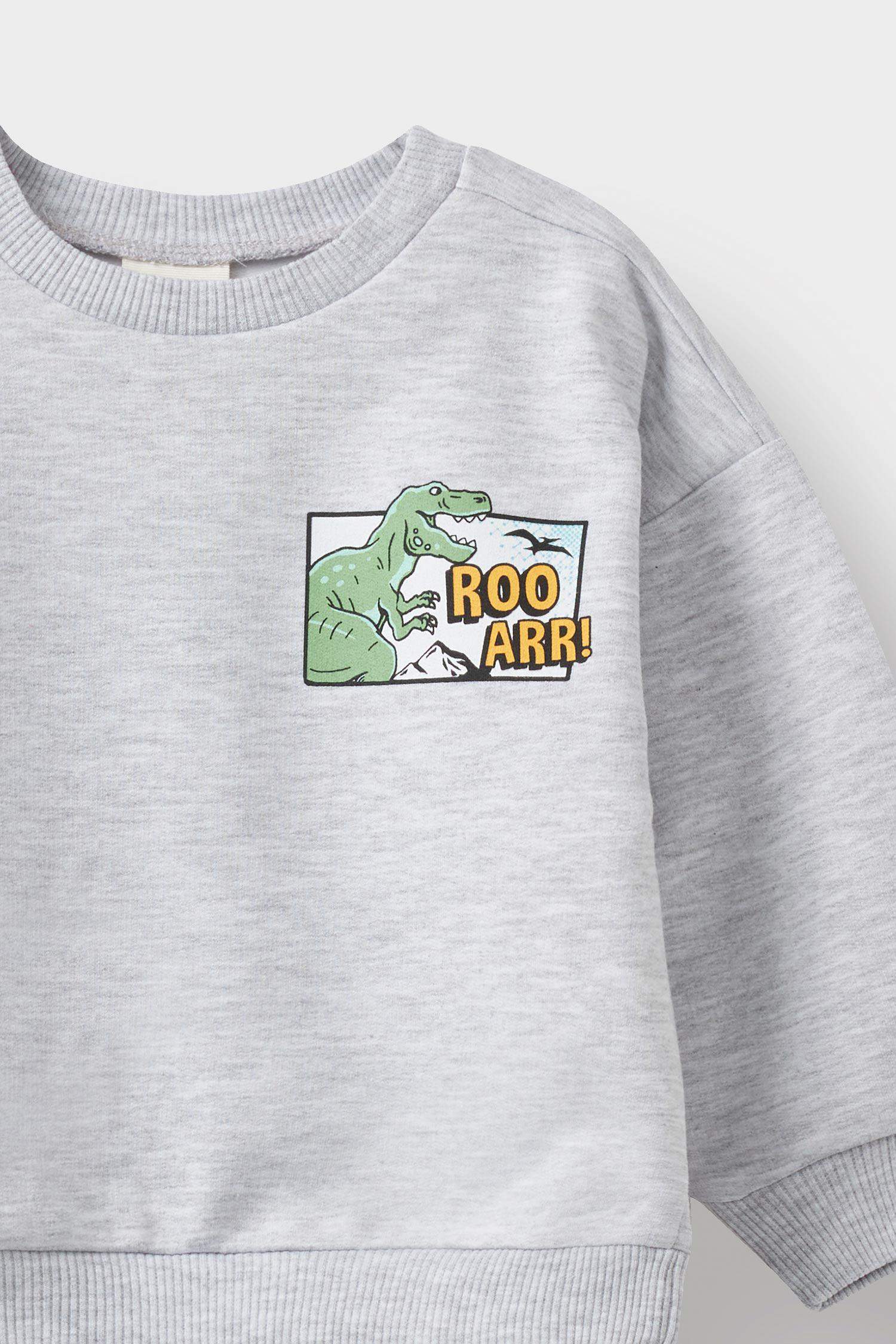 Baby Boy Crew Neck Dinosaur Printed Sweatshirt