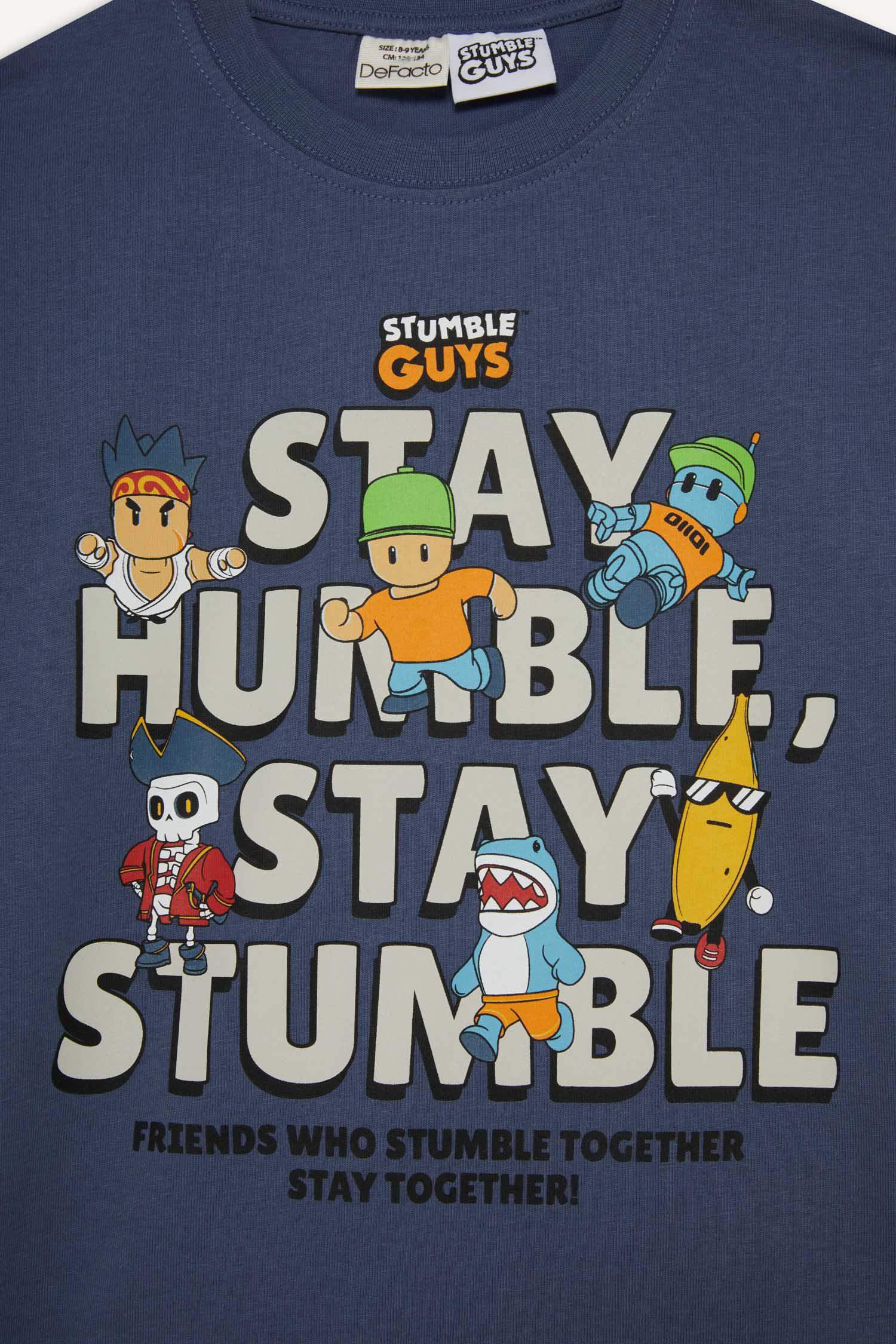 Boy Stumble Guys Crew Neck T-Shirt