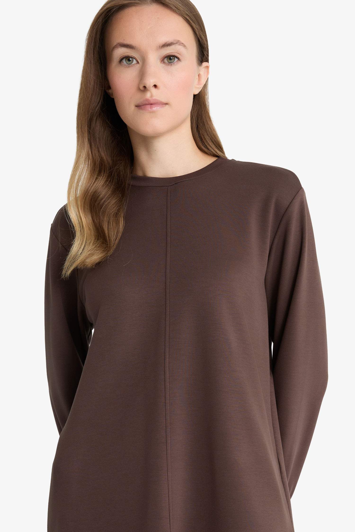 Regular Fit Crew Neck Long Sleeve Tunic