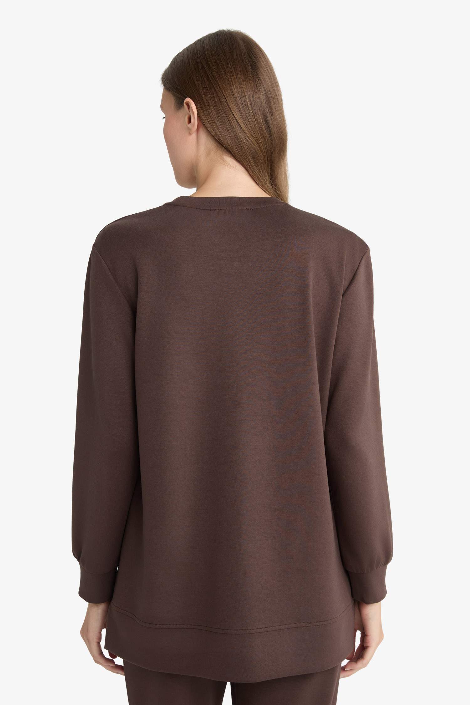 Regular Fit Bisiklet Yaka Uzun Kollu Tunik