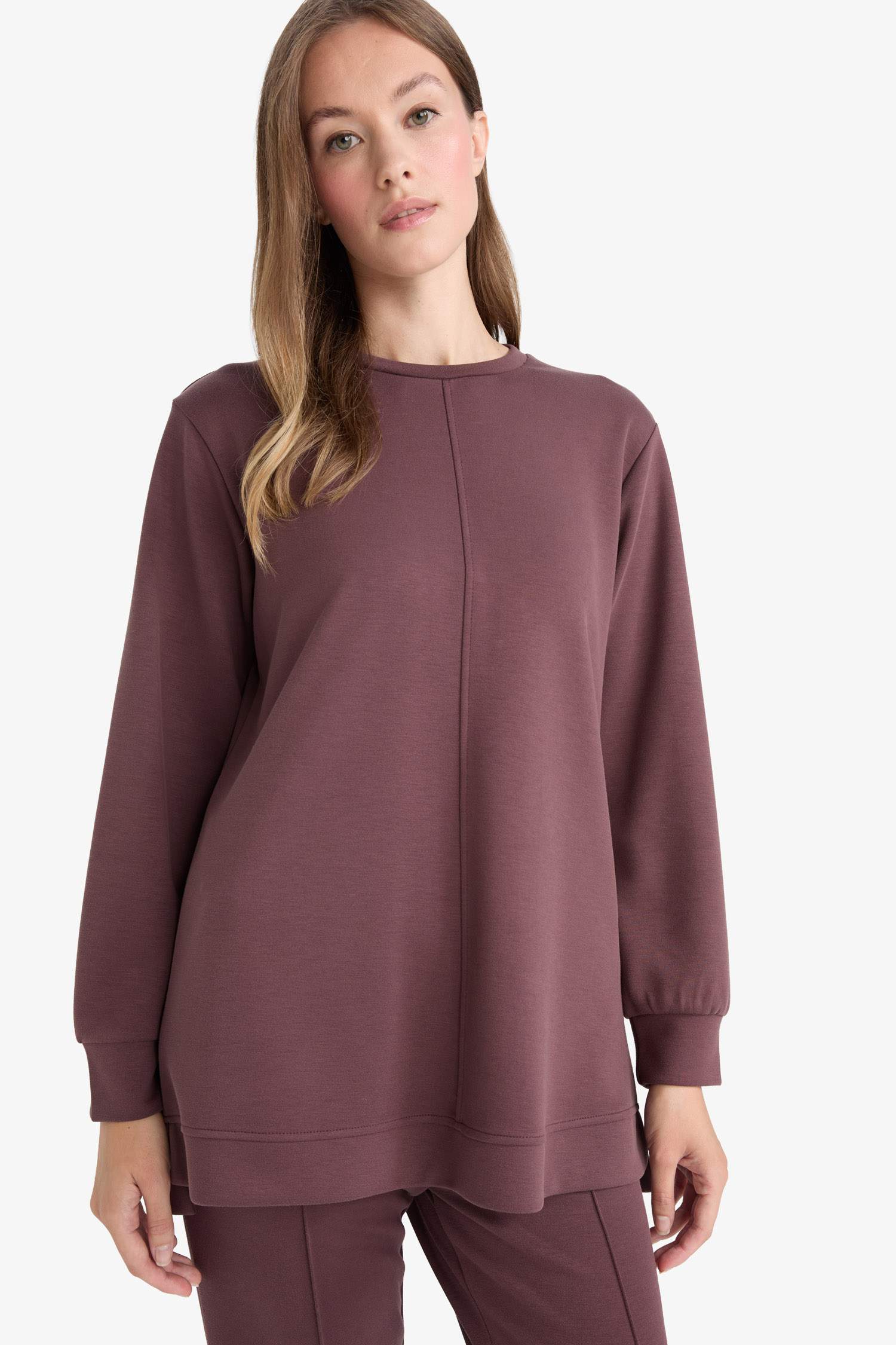 Regular Fit Crew Neck Long Sleeve Tunic