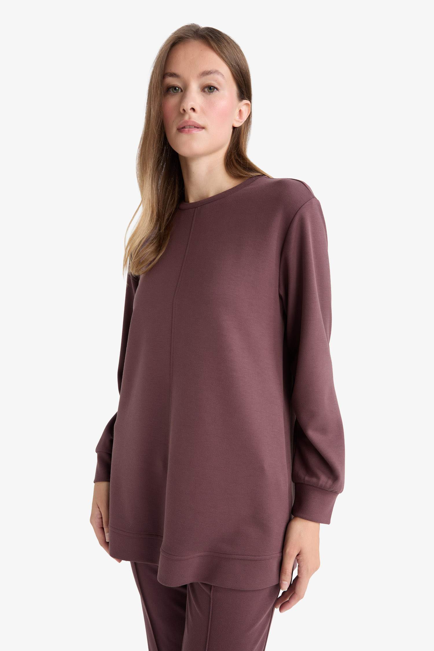 Regular Fit Crew Neck Long Sleeve Tunic