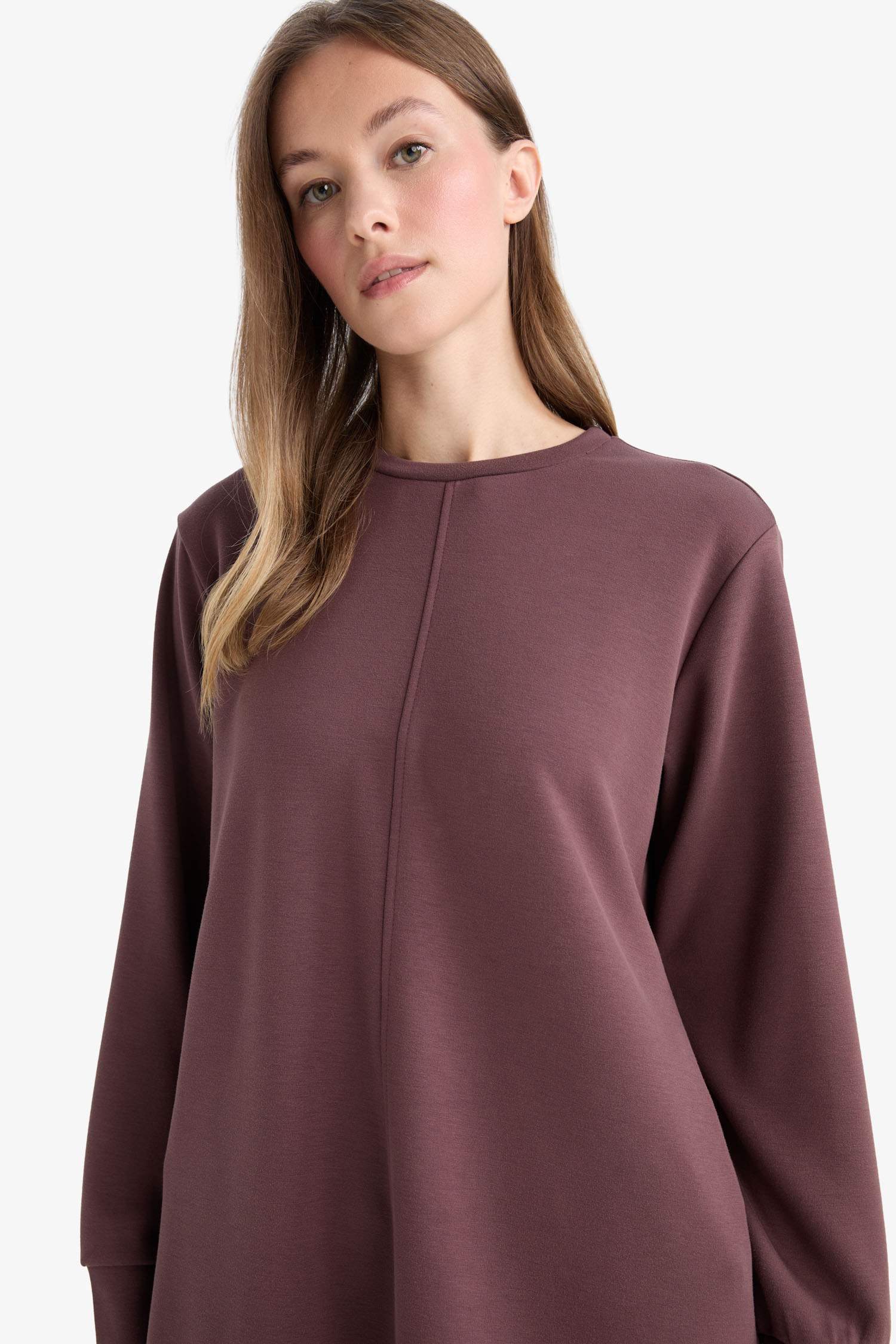 Regular Fit Crew Neck Long Sleeve Tunic